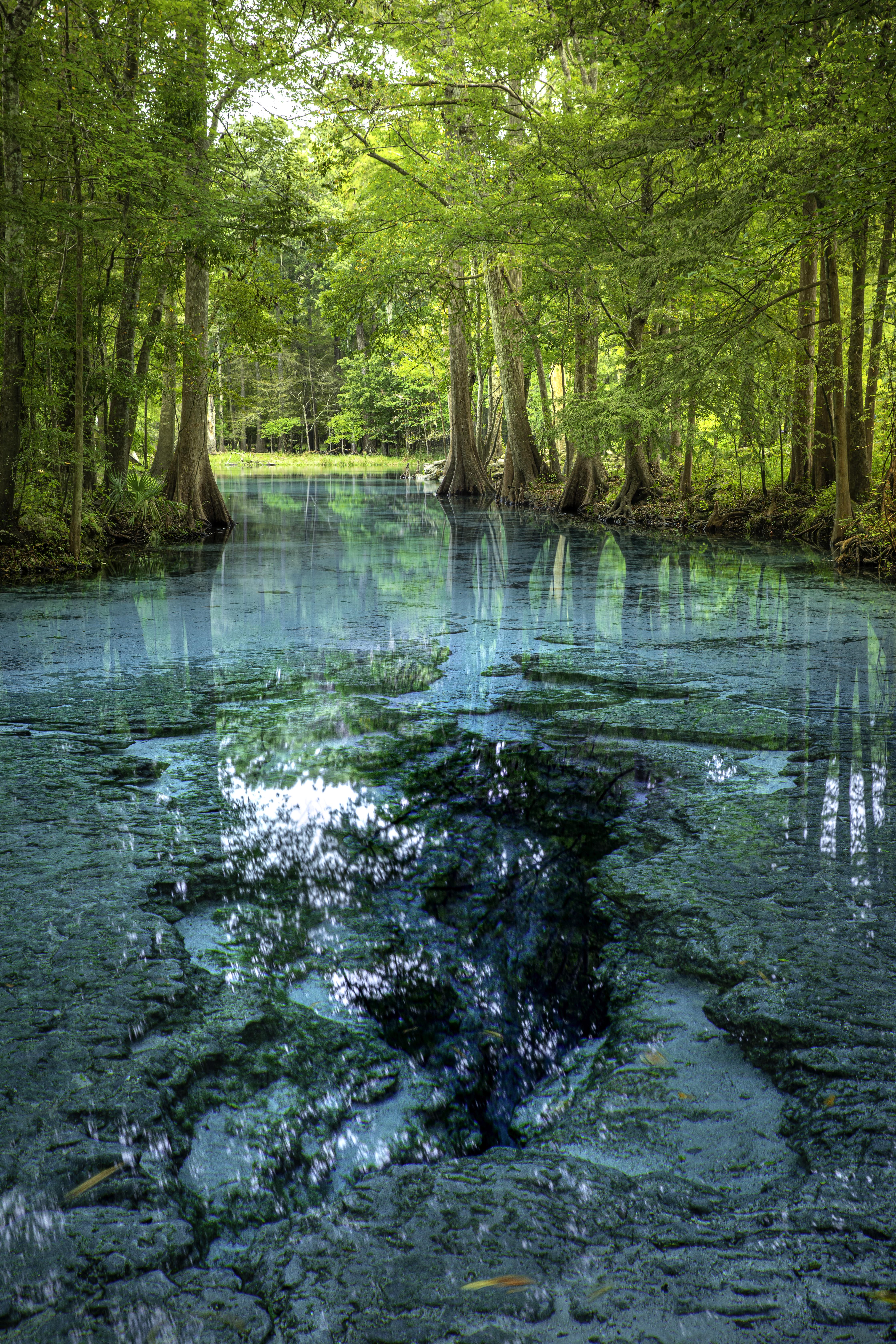 Ancient & Ethereal Florida. Little Devil Spring, Ginnie Springs System