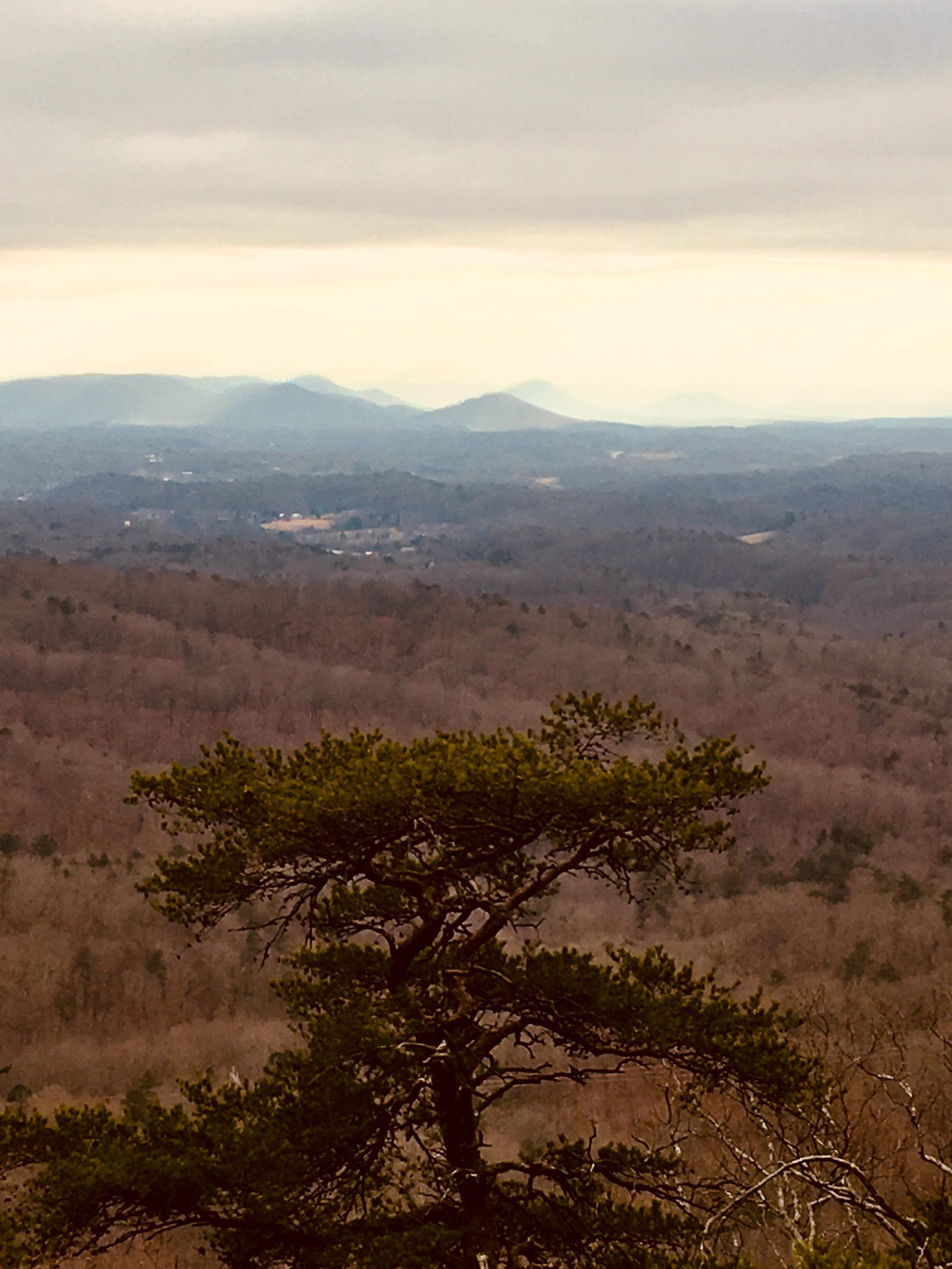 View from the top of pilot knob trail in clay city Kentucky r/Outdoors