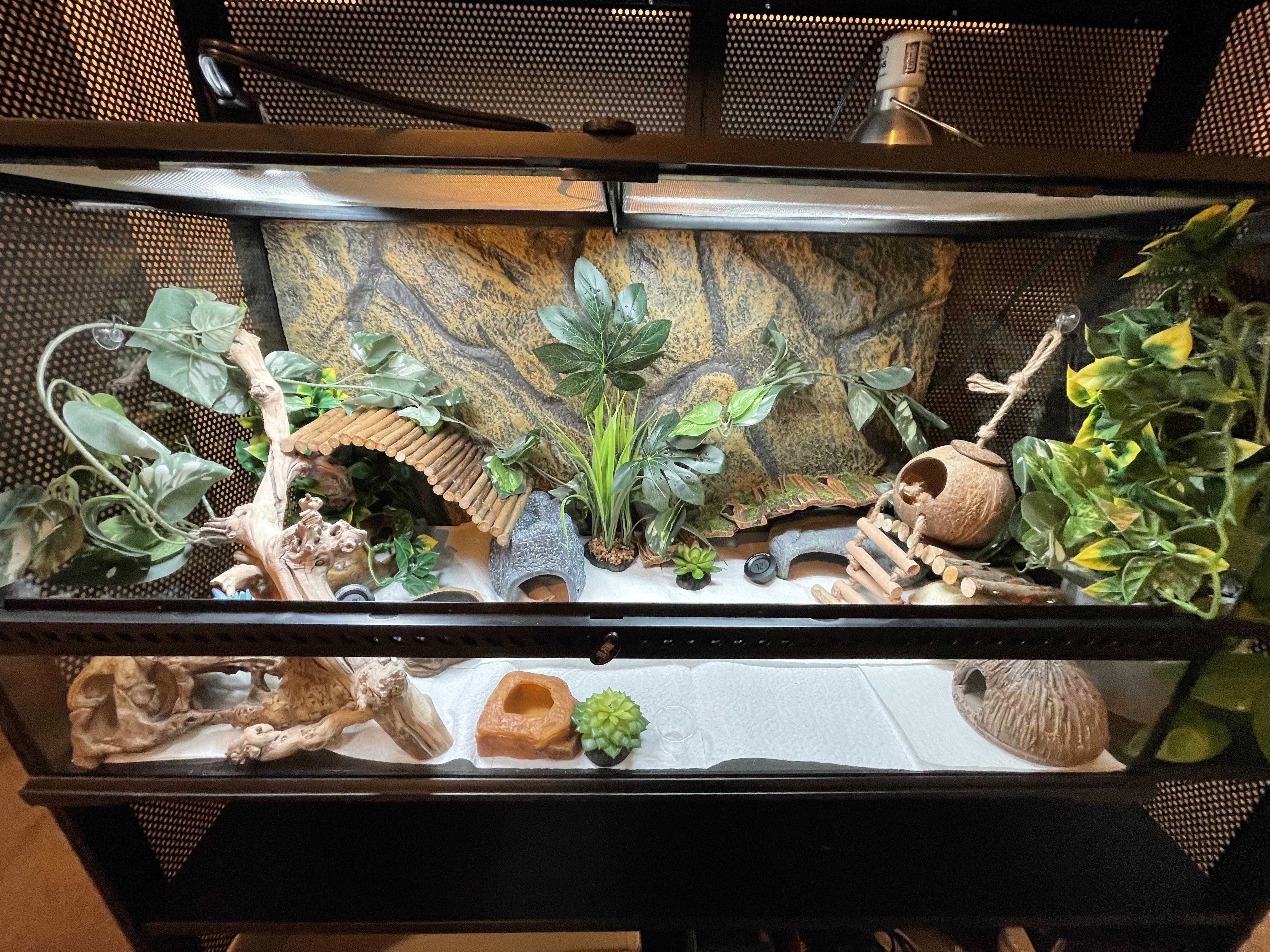 Does my Leopard Gecko tank look ok!! 💛 r/leopardgeckos