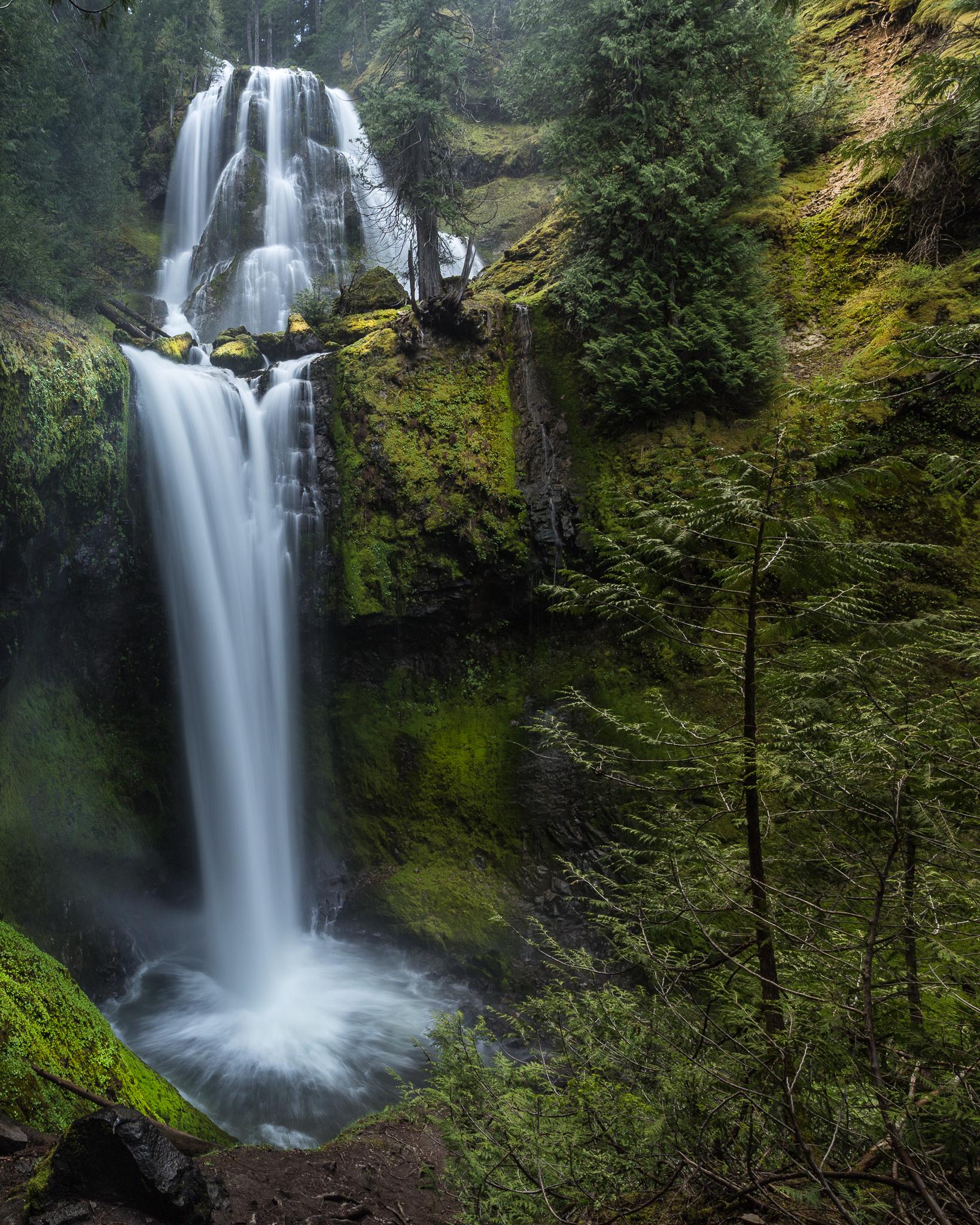 Falls Creek Falls in the Gifford Pinchot National Forest, WA. robybabcock [OC] [1638 x 2048