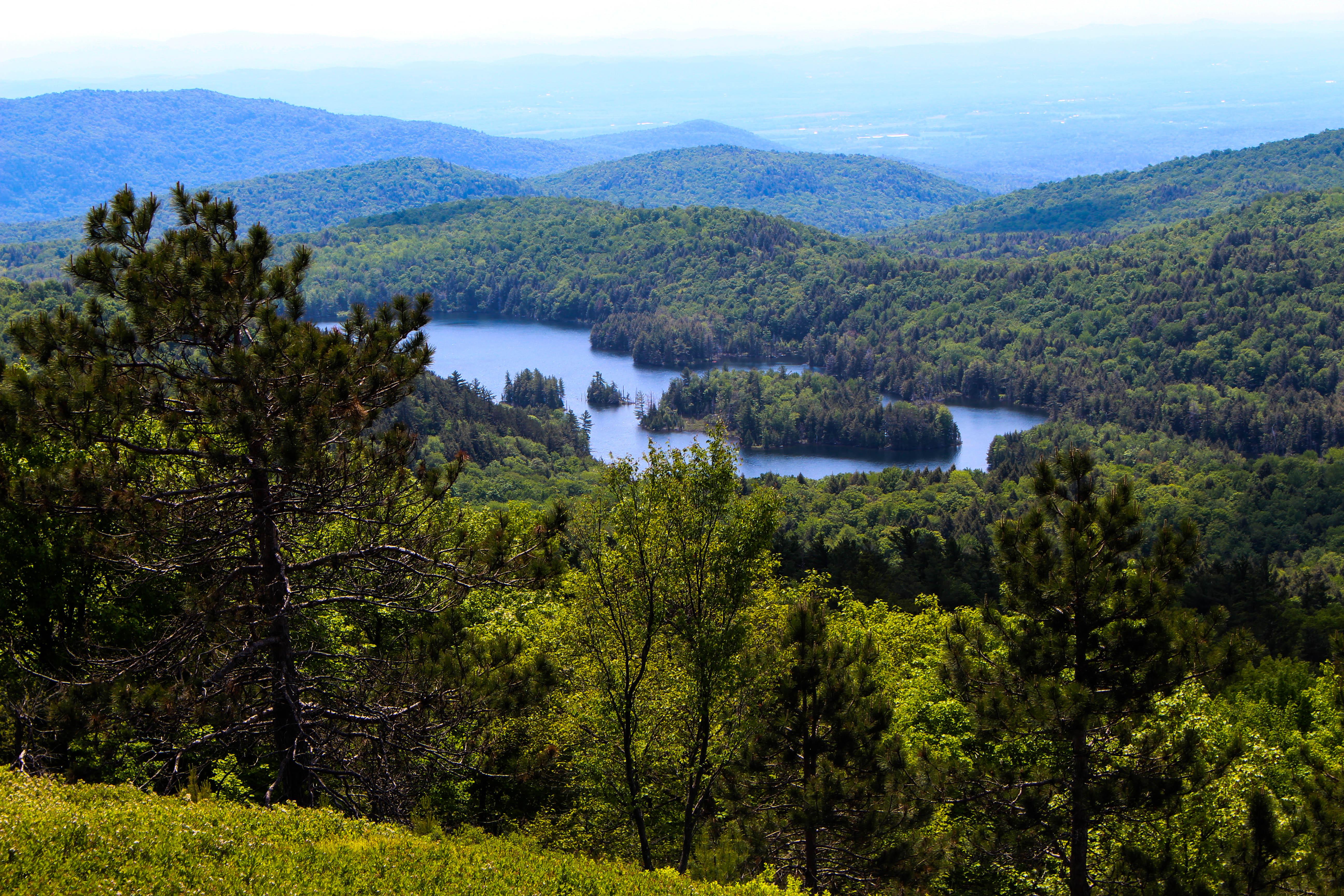 Summit of Buck Mountain [5184 x 3456] (OC) r/EarthPorn