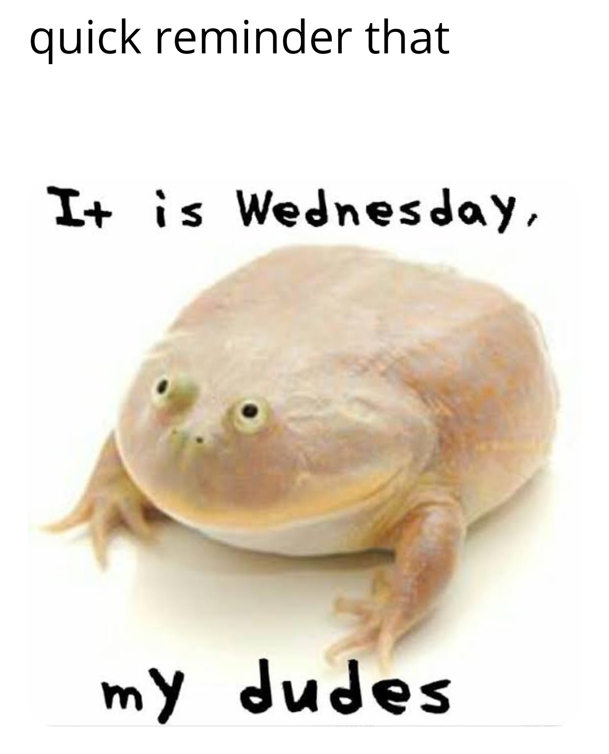 Don't memes