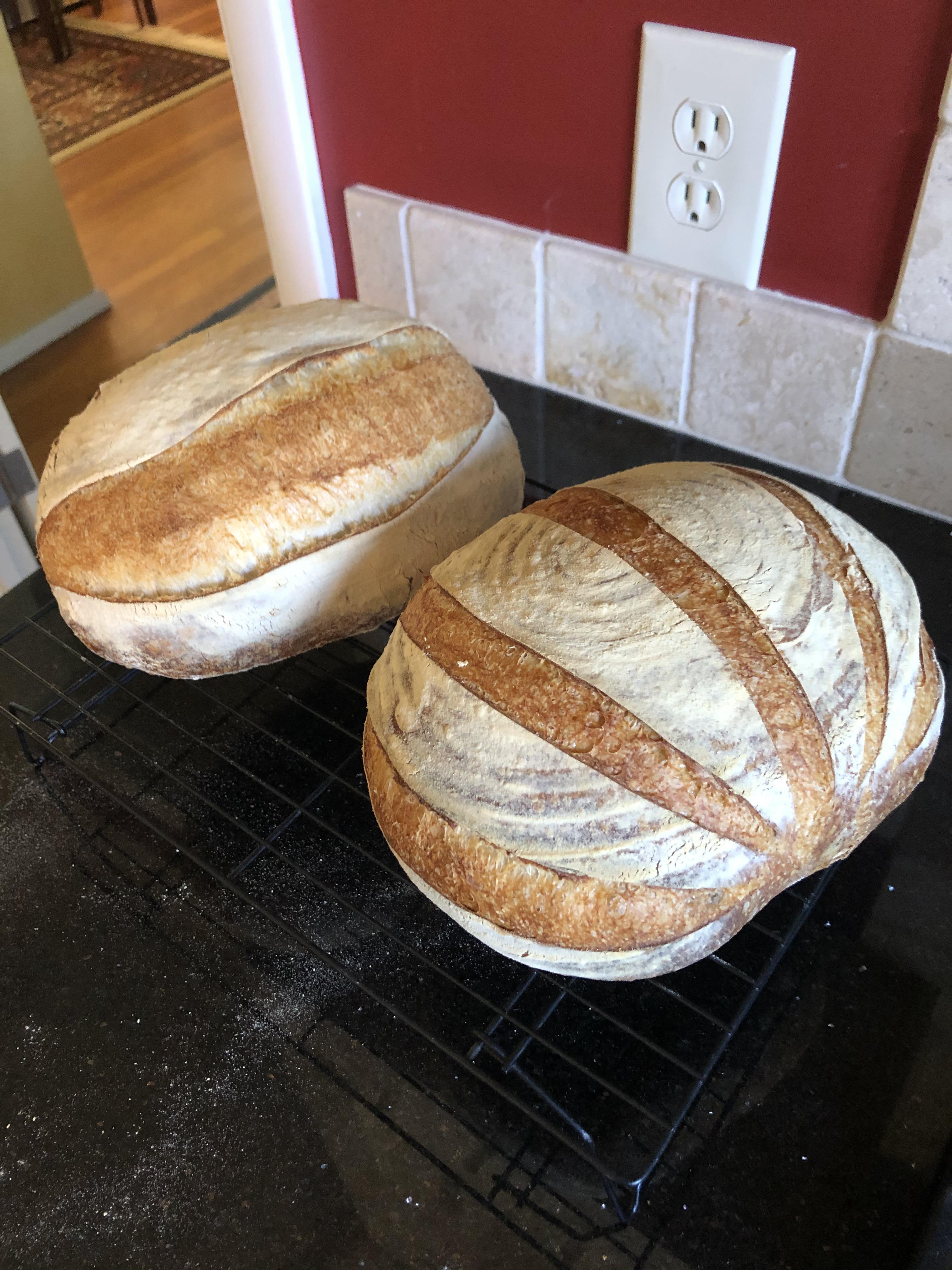 Sunday sourdough 800g bread flour, 460g water, 10g salt, 320g