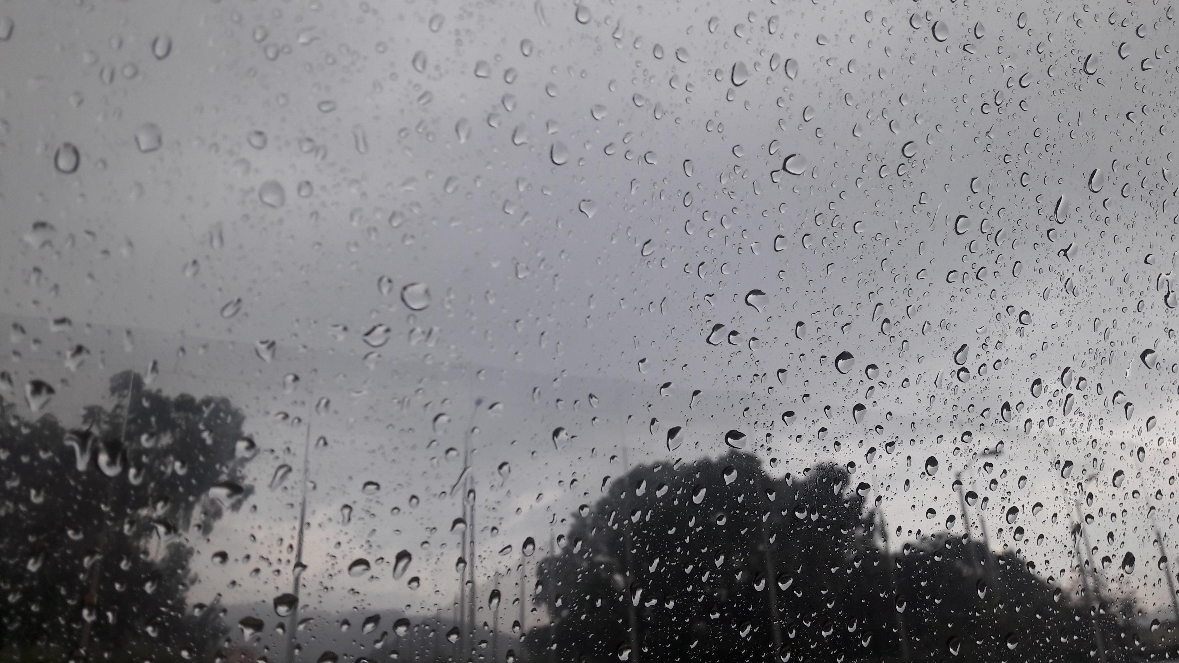 Today was raining all day, so beautiful 😍😍 r/raining