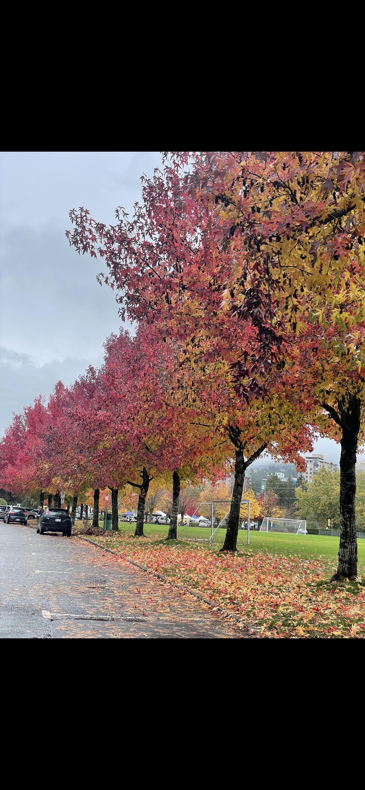 West Vancouver Ambleside r/vancouver