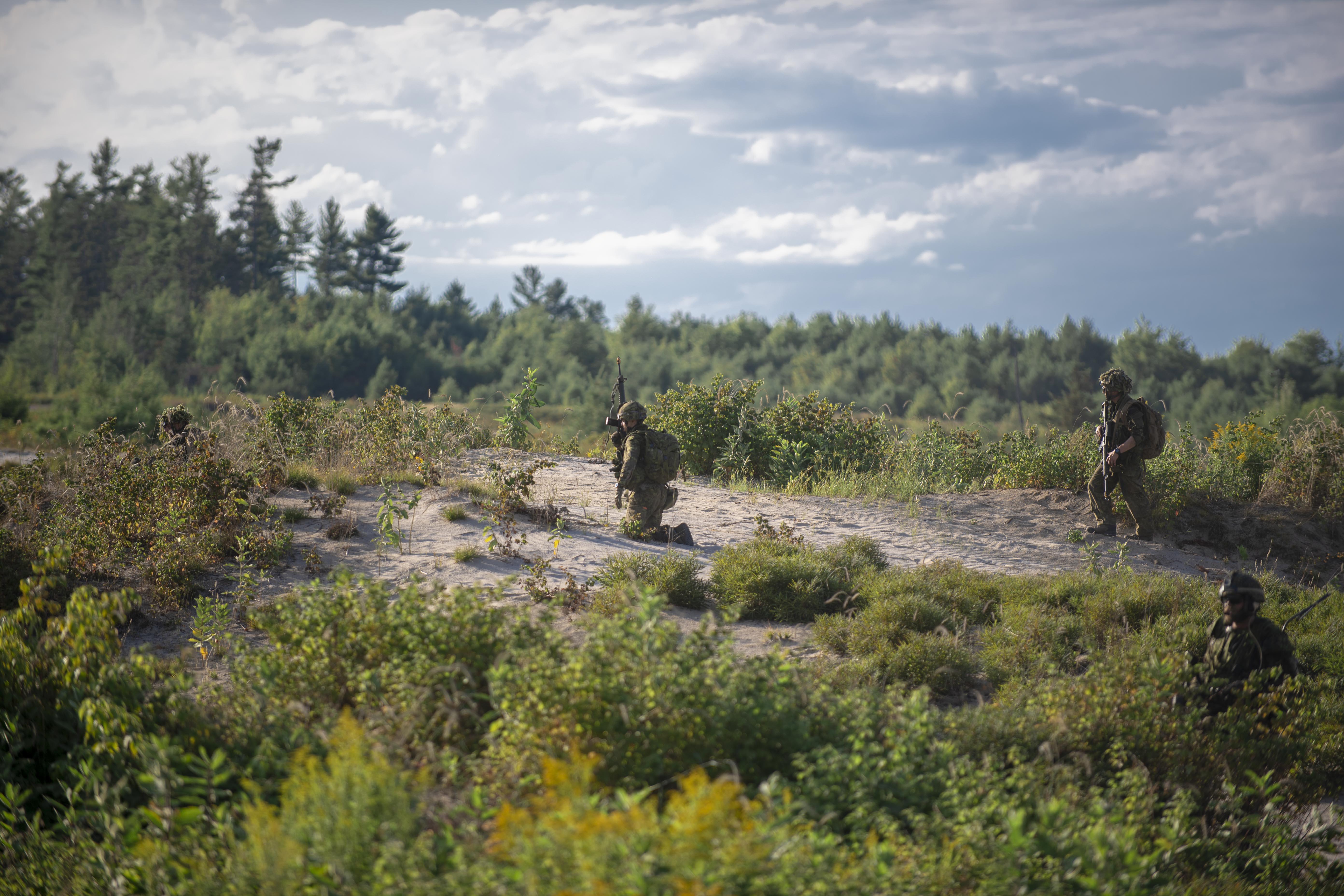 Stalwart Guardian a reserve EX usually held at the end of the summer