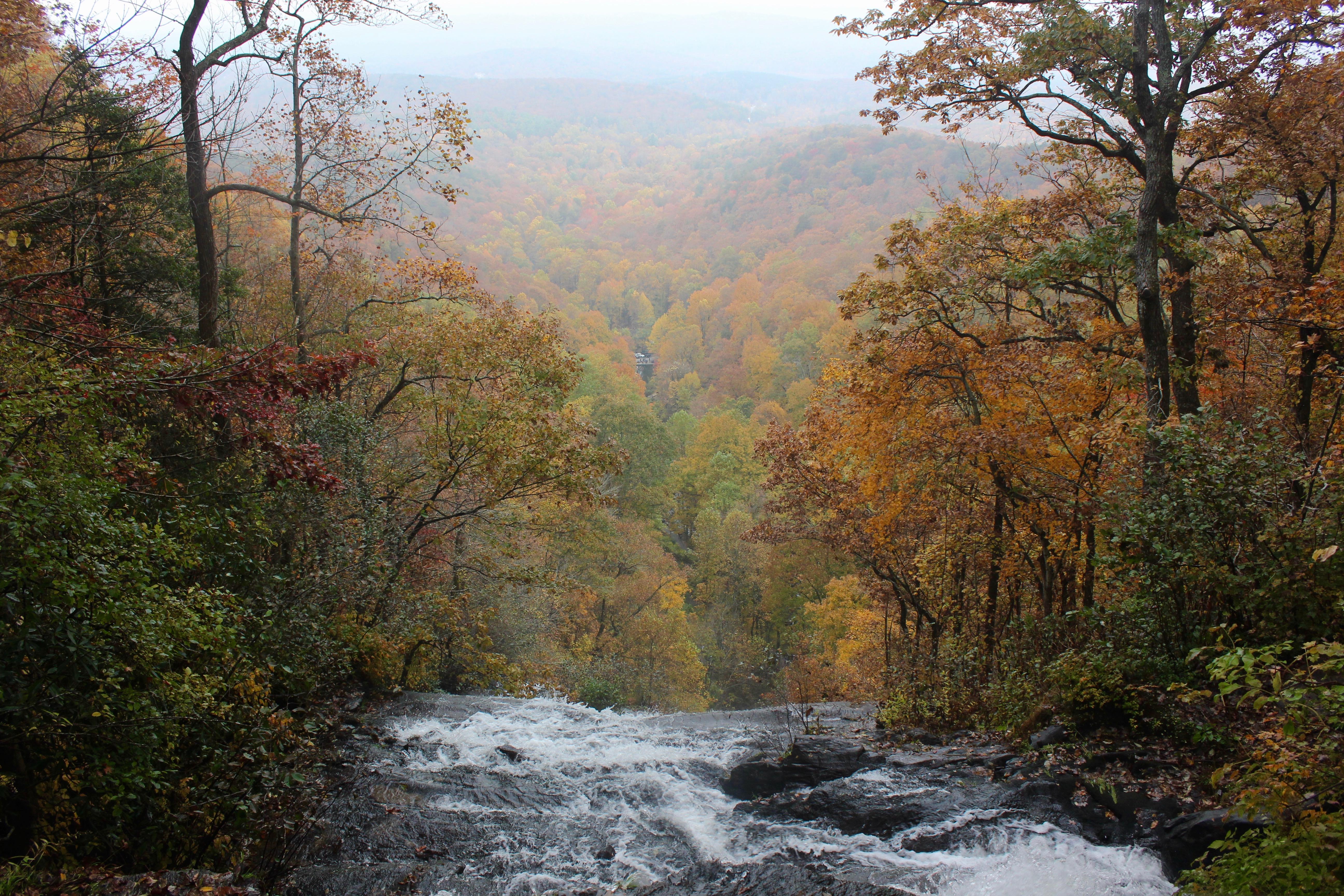 The leaves were perfect at Amicalola Falls last weekend r/Atlanta