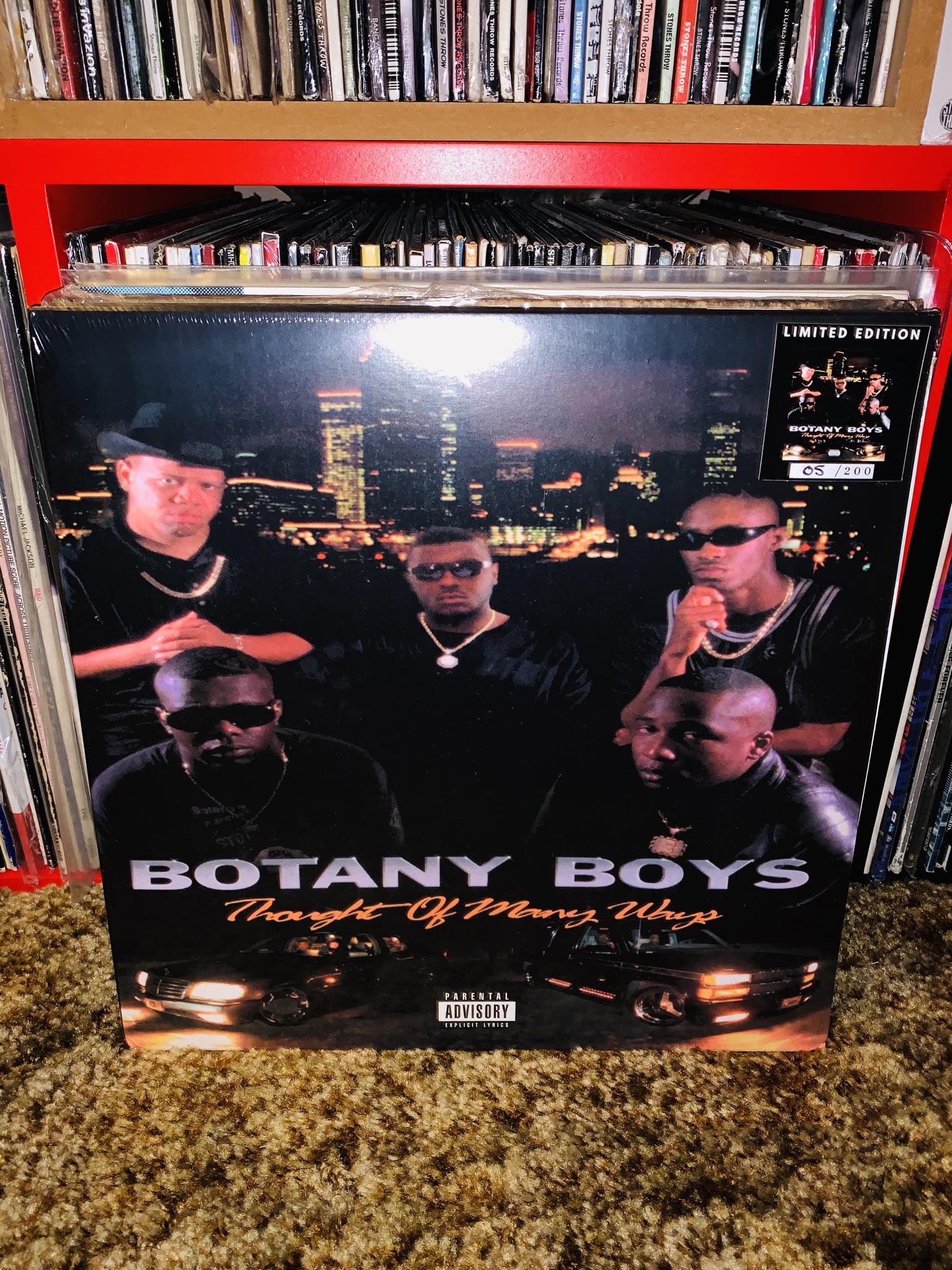 Botany Boys Thought Of Many Ways... r/hiphopvinyl
