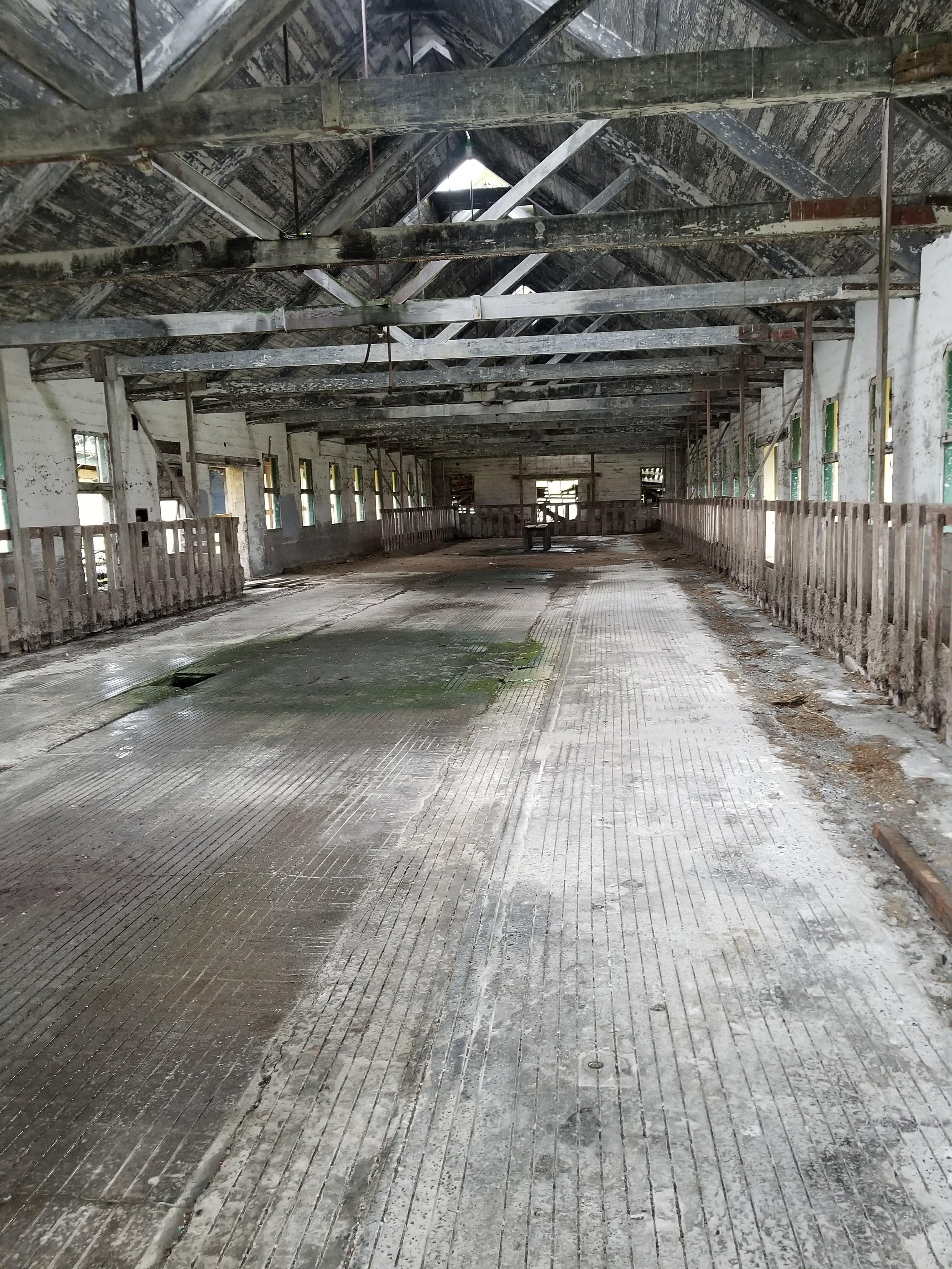 The inside of an abandoned Asylum in Sedro Woolley r/pics