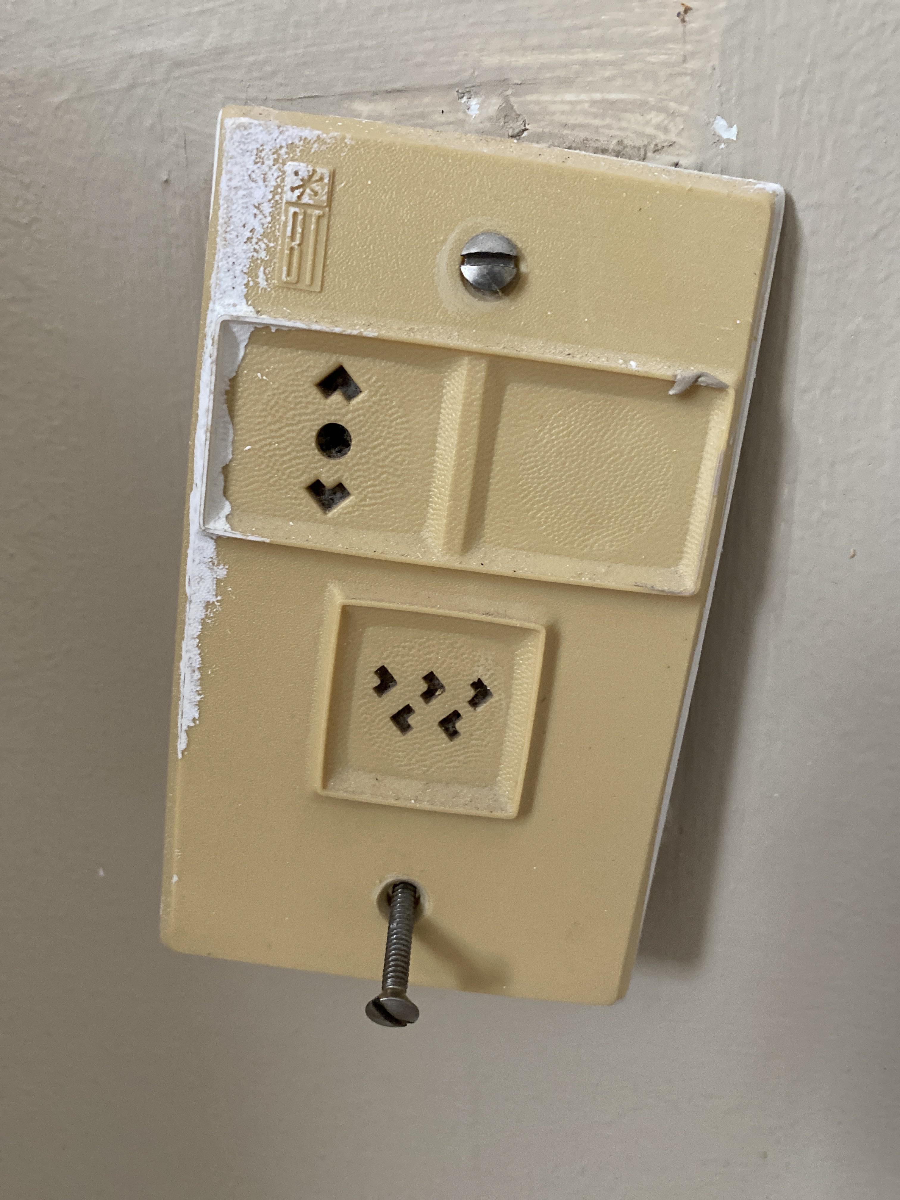 Two plugs on this outlet, not sure what either of them are for! Found