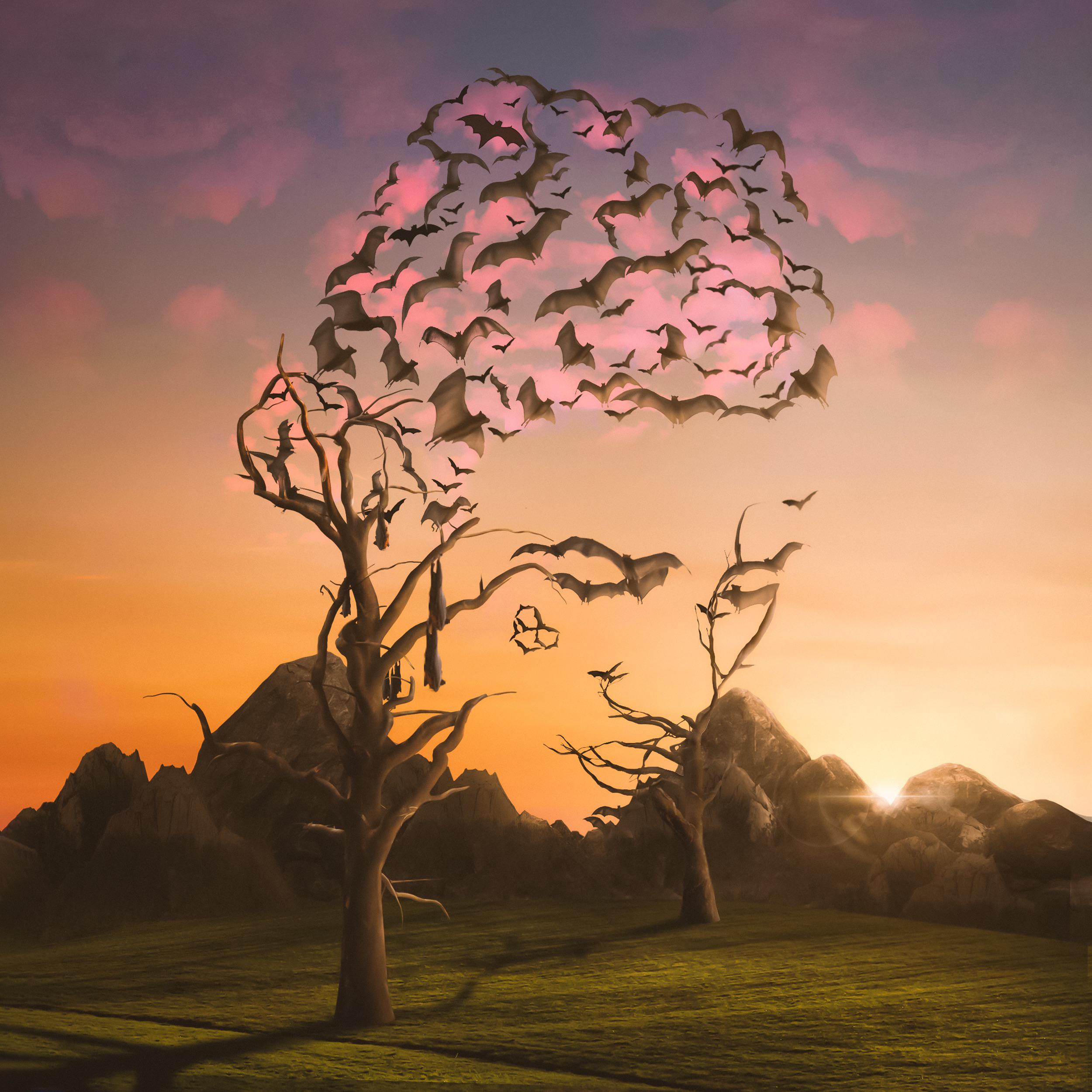 "Punk" album cover concept (my entry for the Adobe contest) 💞 r/YoungThug