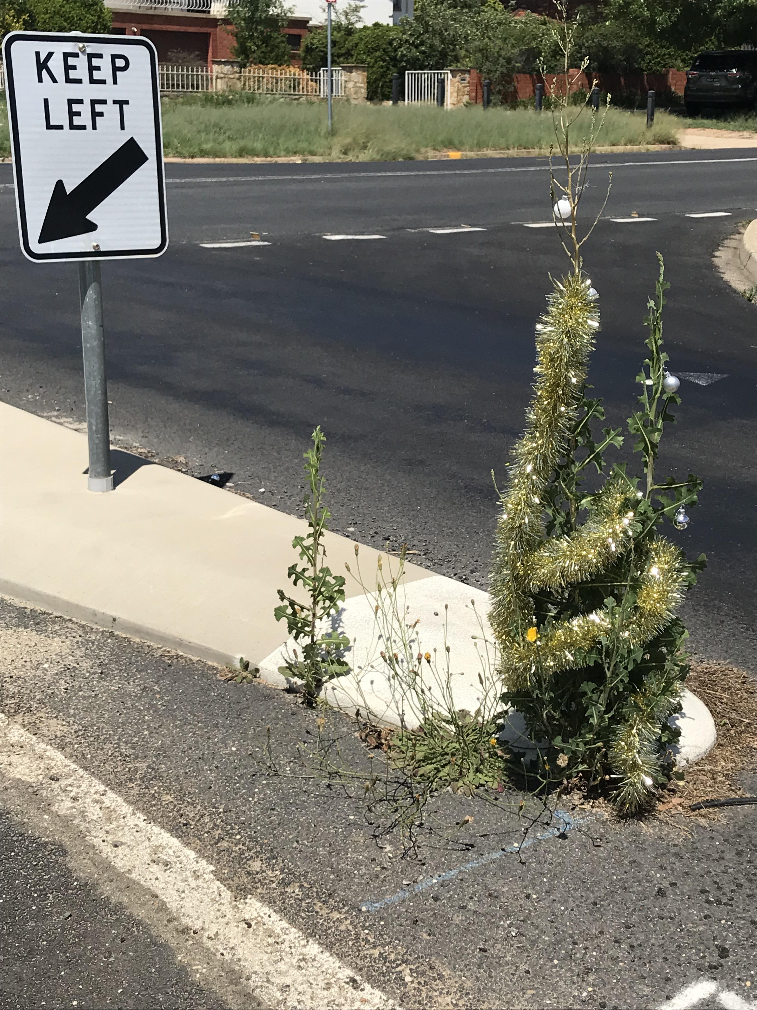 Christmas tree in Queanbeyan r/canberra
