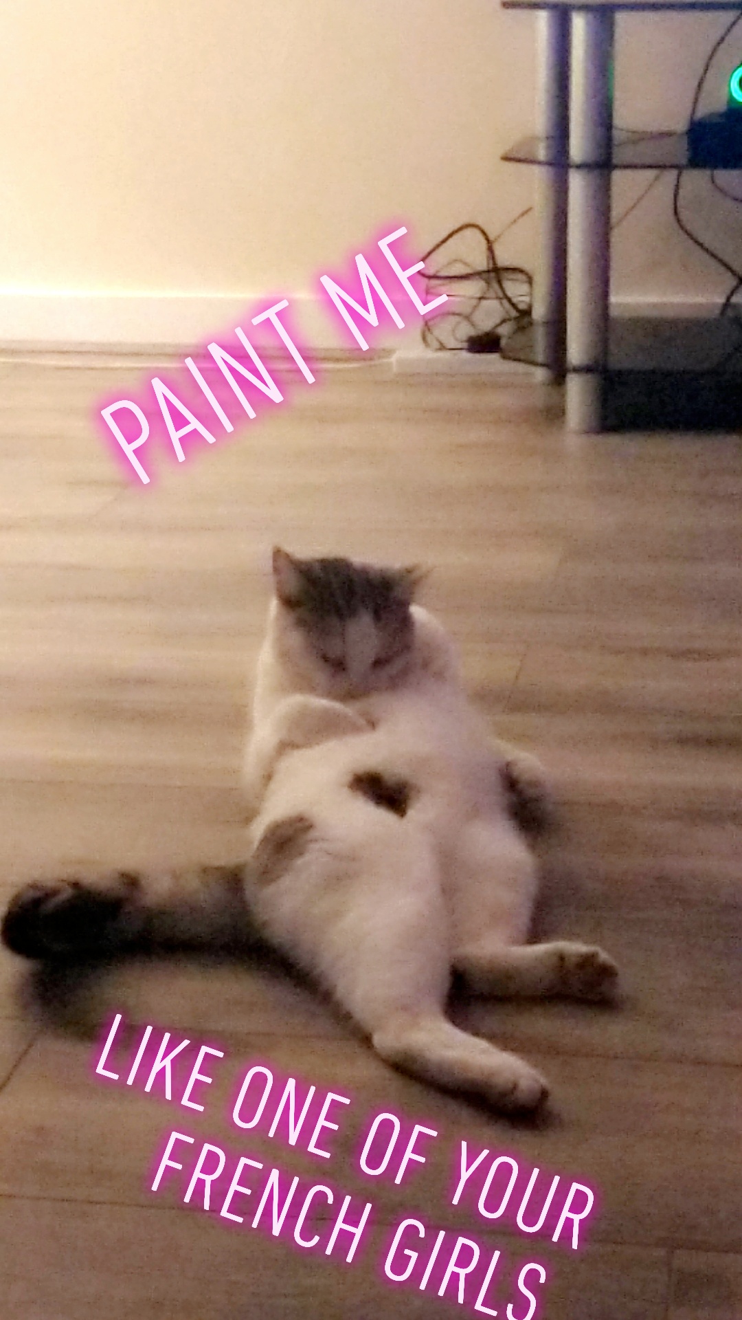 Paint me like one of your French girls r/funnycats