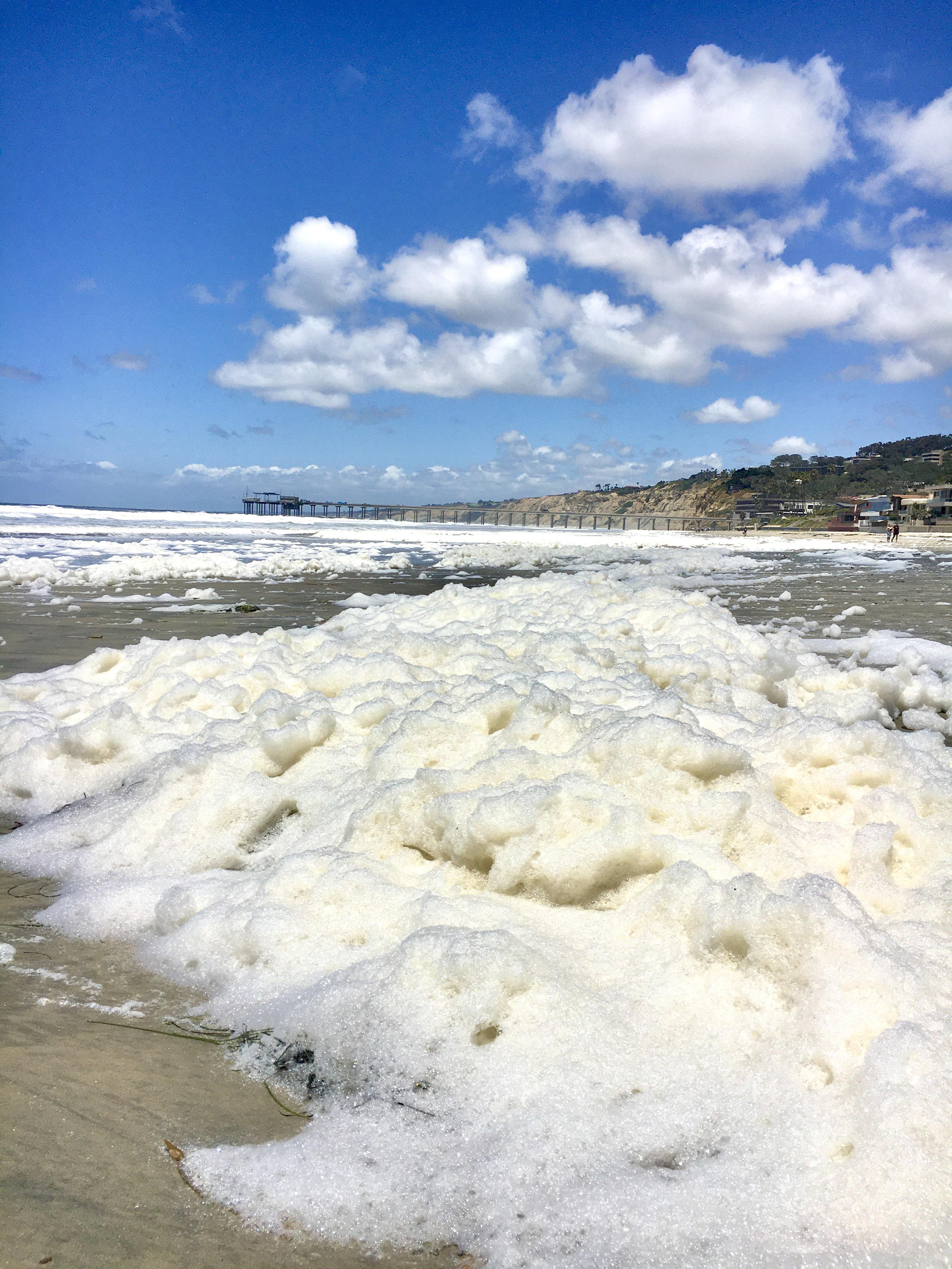 Sea Foam on the beach in San Diego California! r/mildlyinteresting