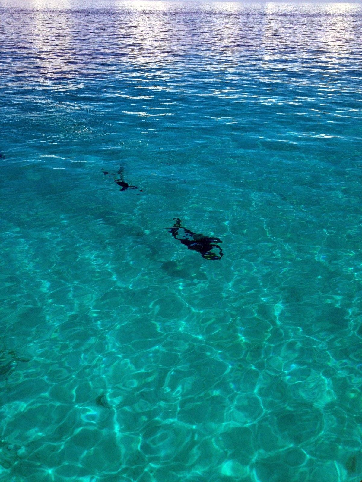Blue Hole Bermuda a dive site about 4 miles off the west end of the