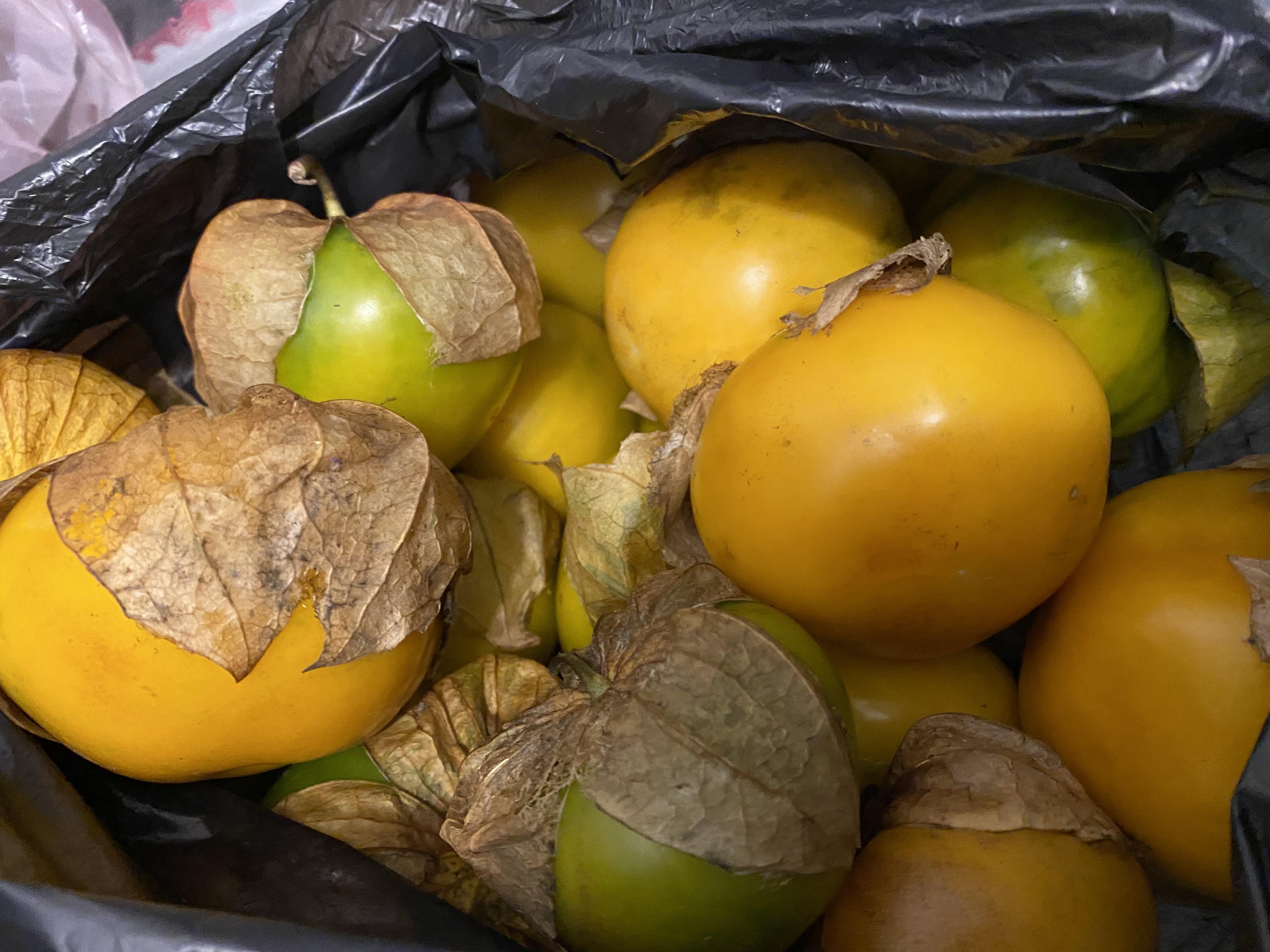 4 pounds of tomatillo manzano (not sure what the actual name in English