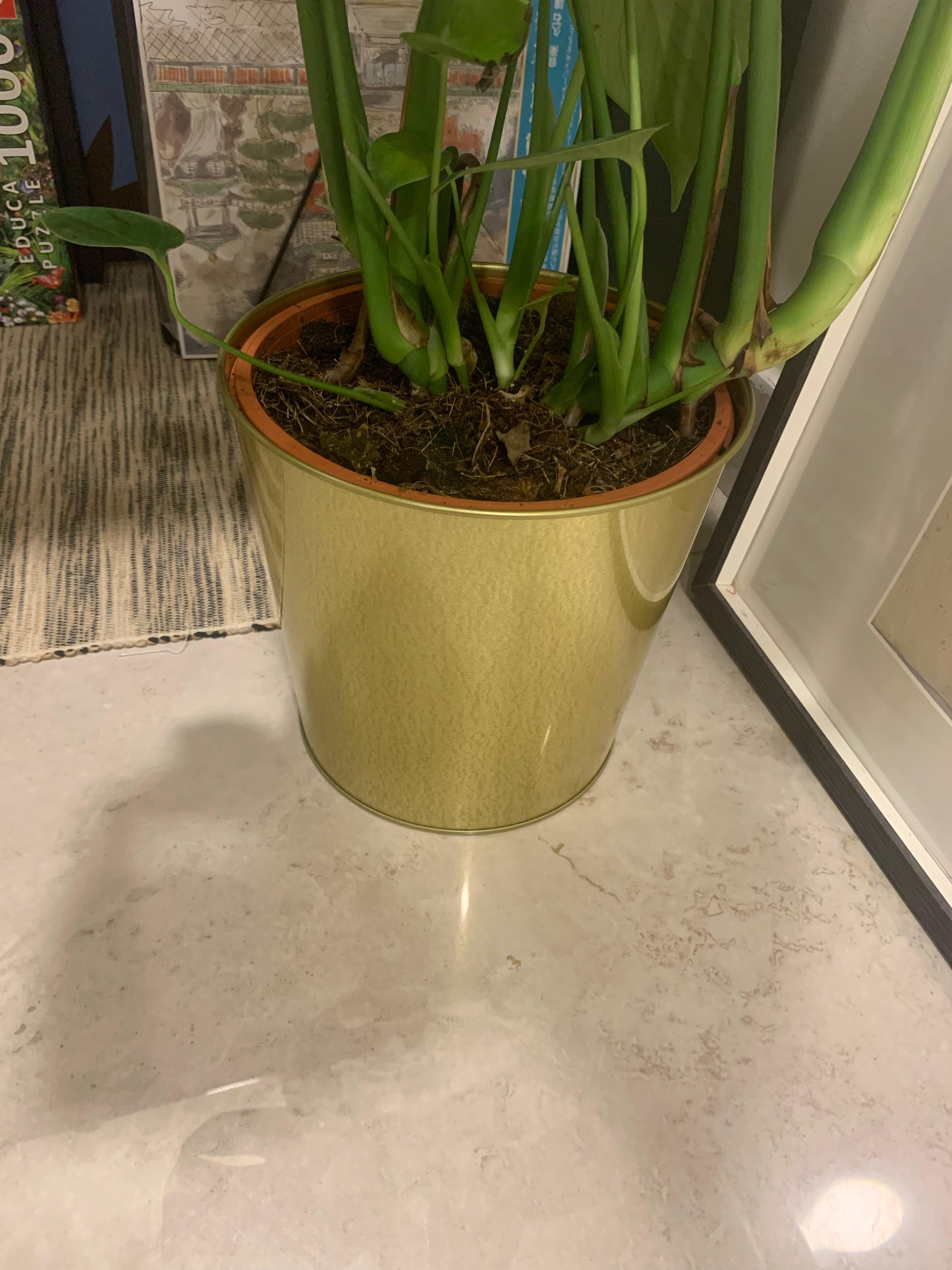 I got this cheap metal plant pot from Ikea and need help with how to paint it r/crafts