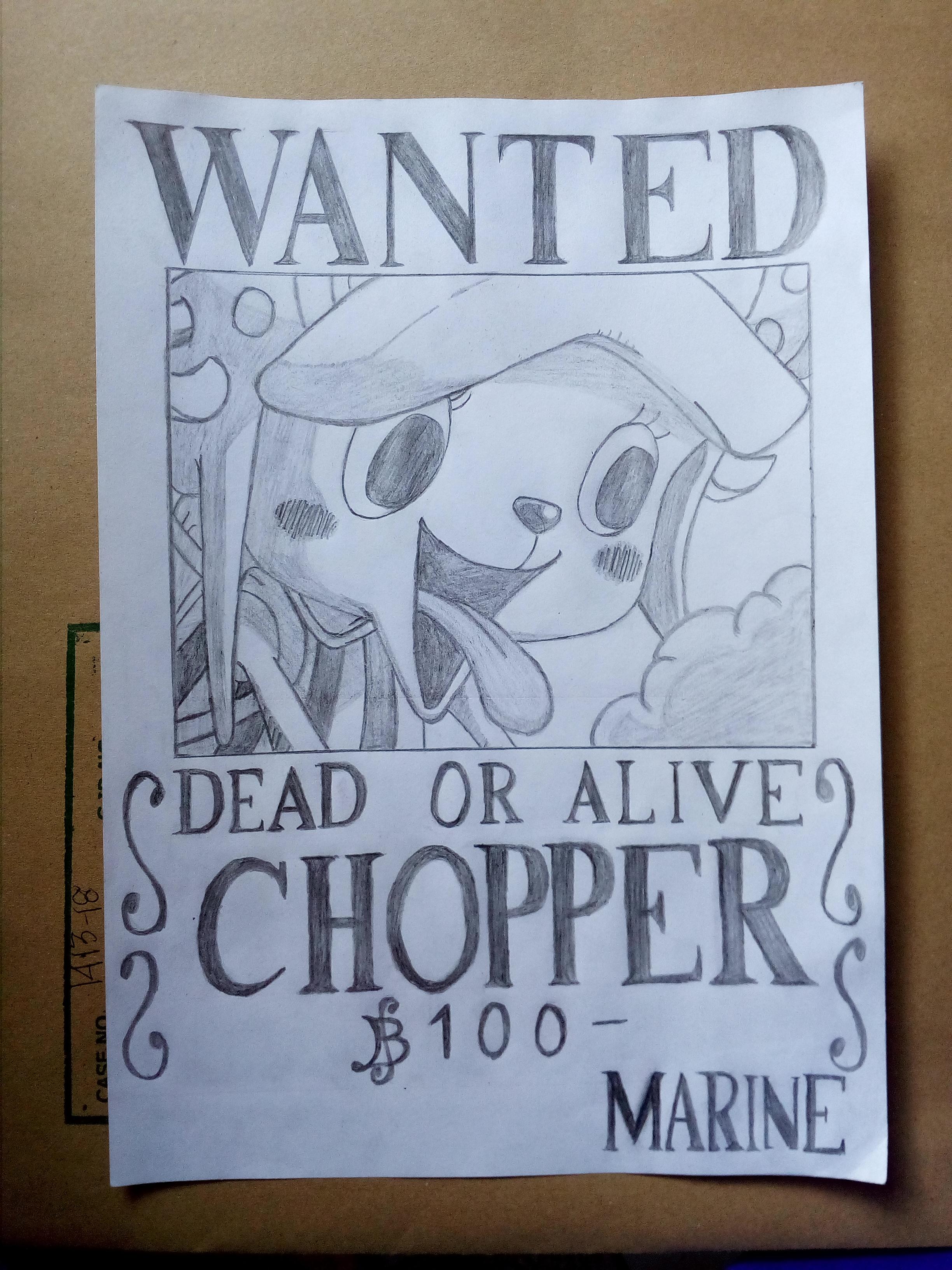 Bounty Poster One Piece