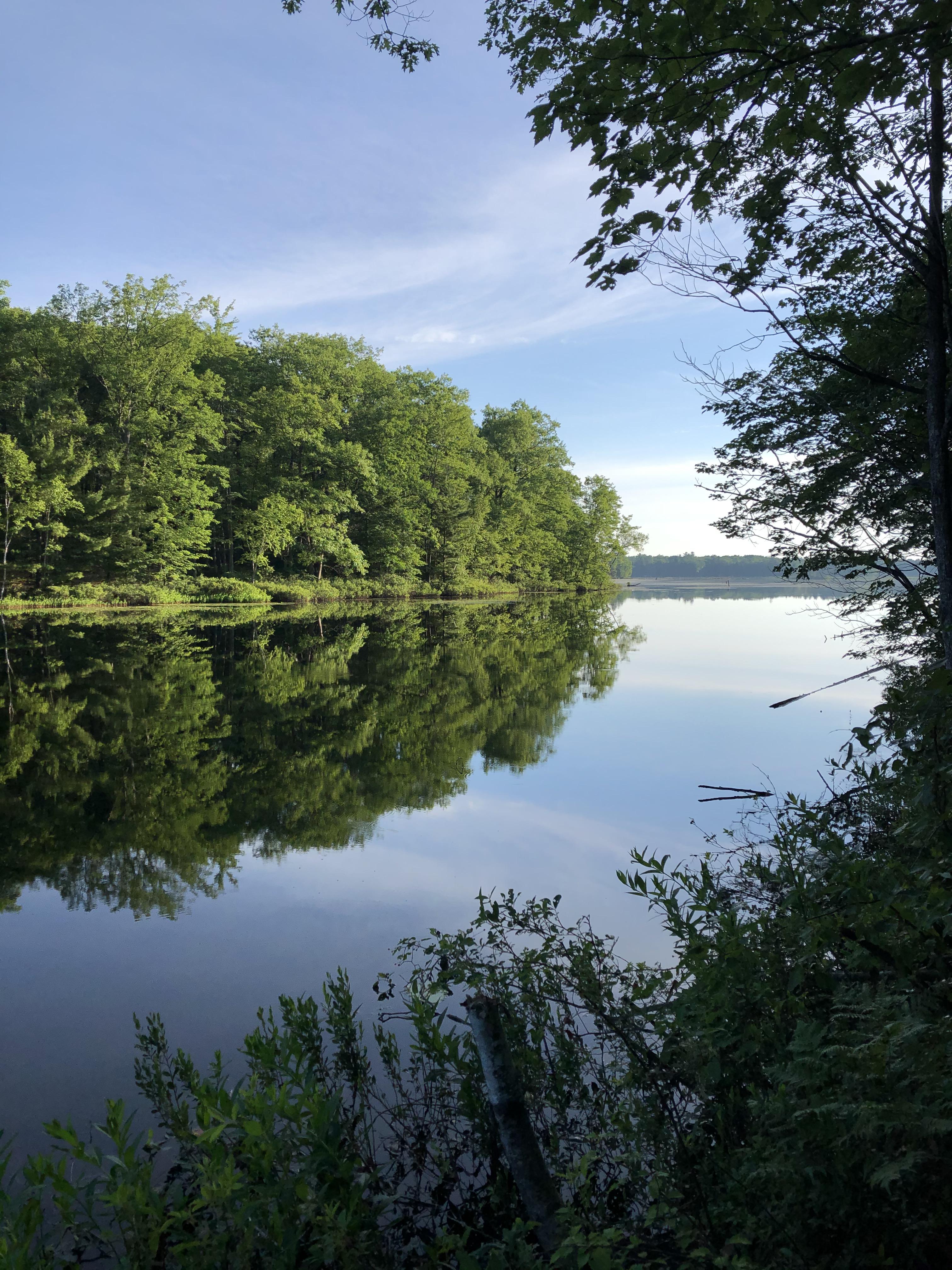 Platte River, Michigan [3024x4032] [OC] r/EarthPorn