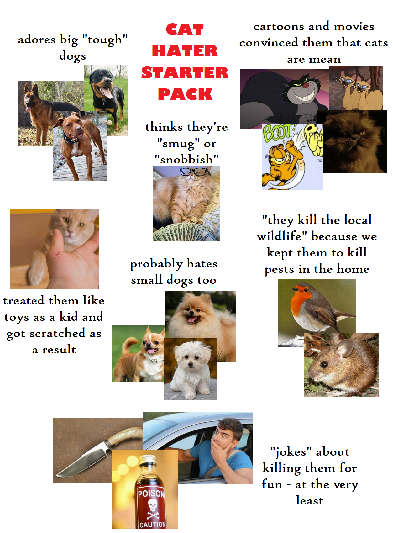 Why Do Dogs Instinctively Hate Cats