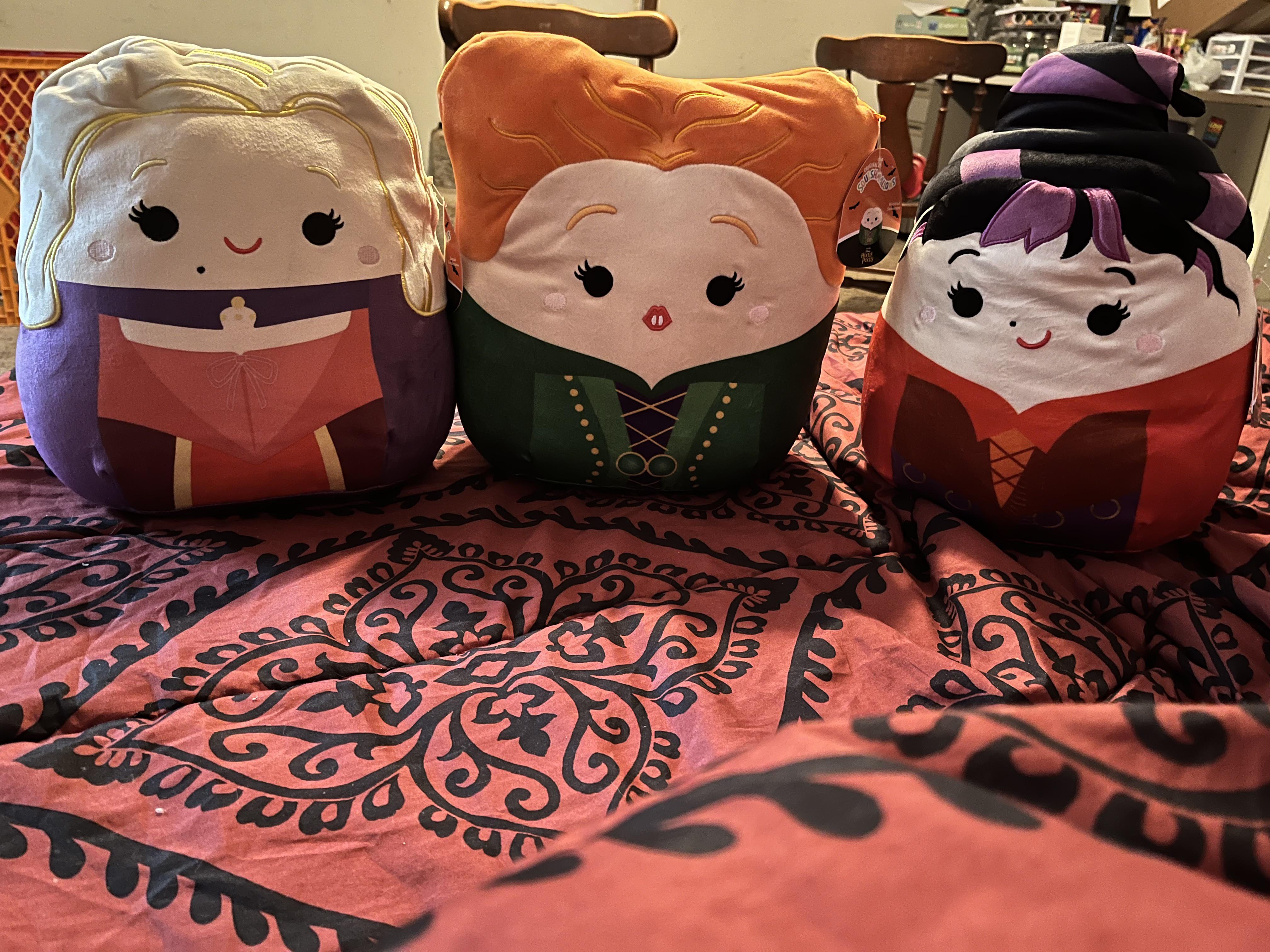 Finally got the Sanderson Sisters!!! (Krogers) r/squishmallow