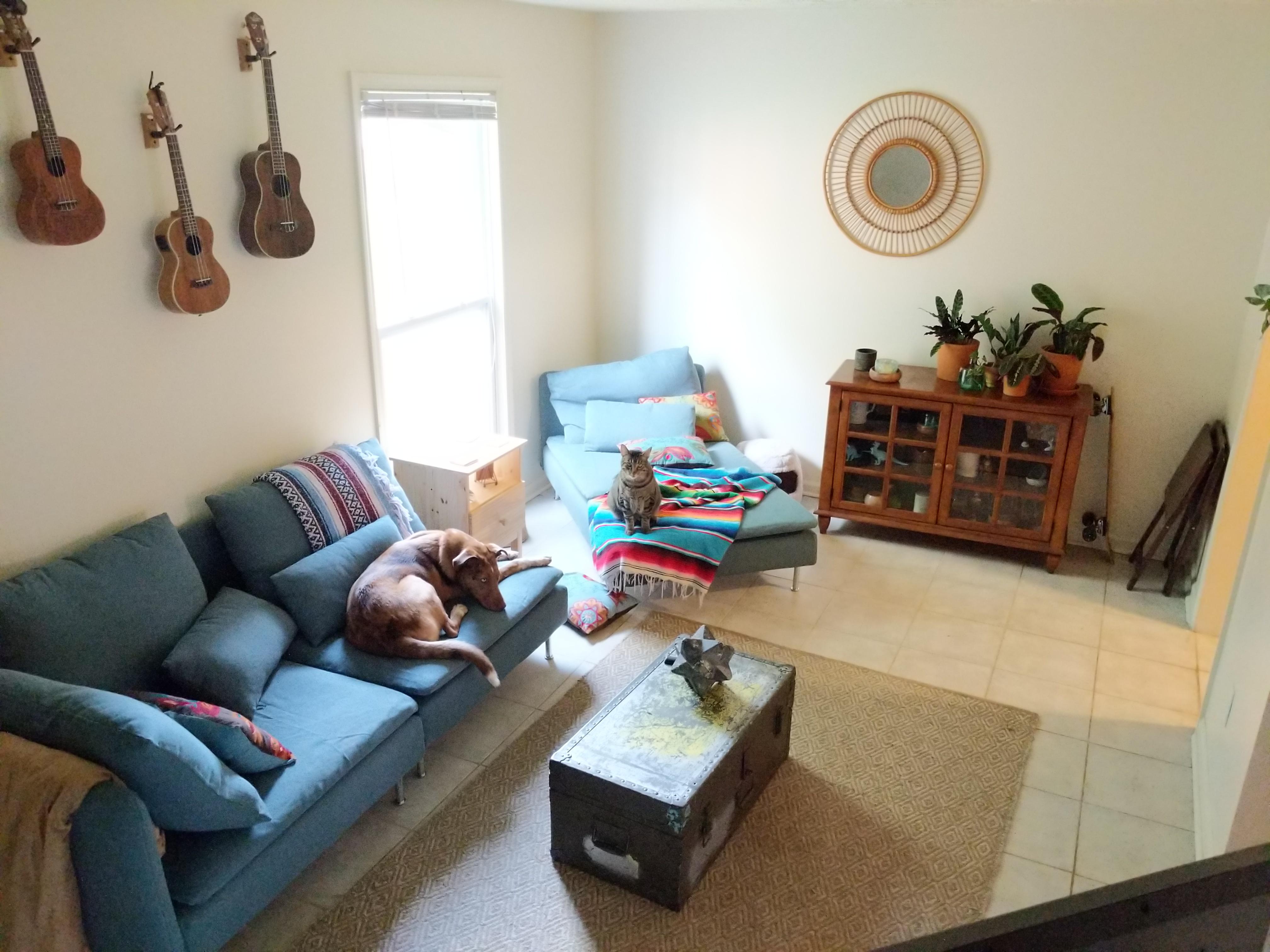 What finishing touches can I add to make my living room feel more cozy
