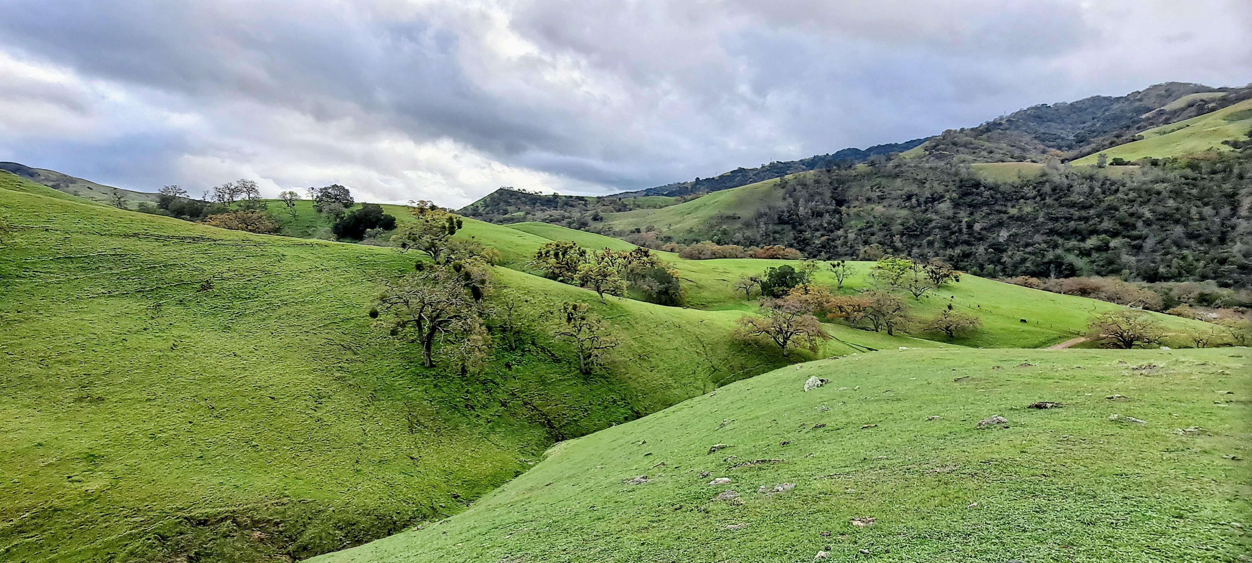 The hills, the hills! Sunol near "Little Yosemite" area, early Jan
