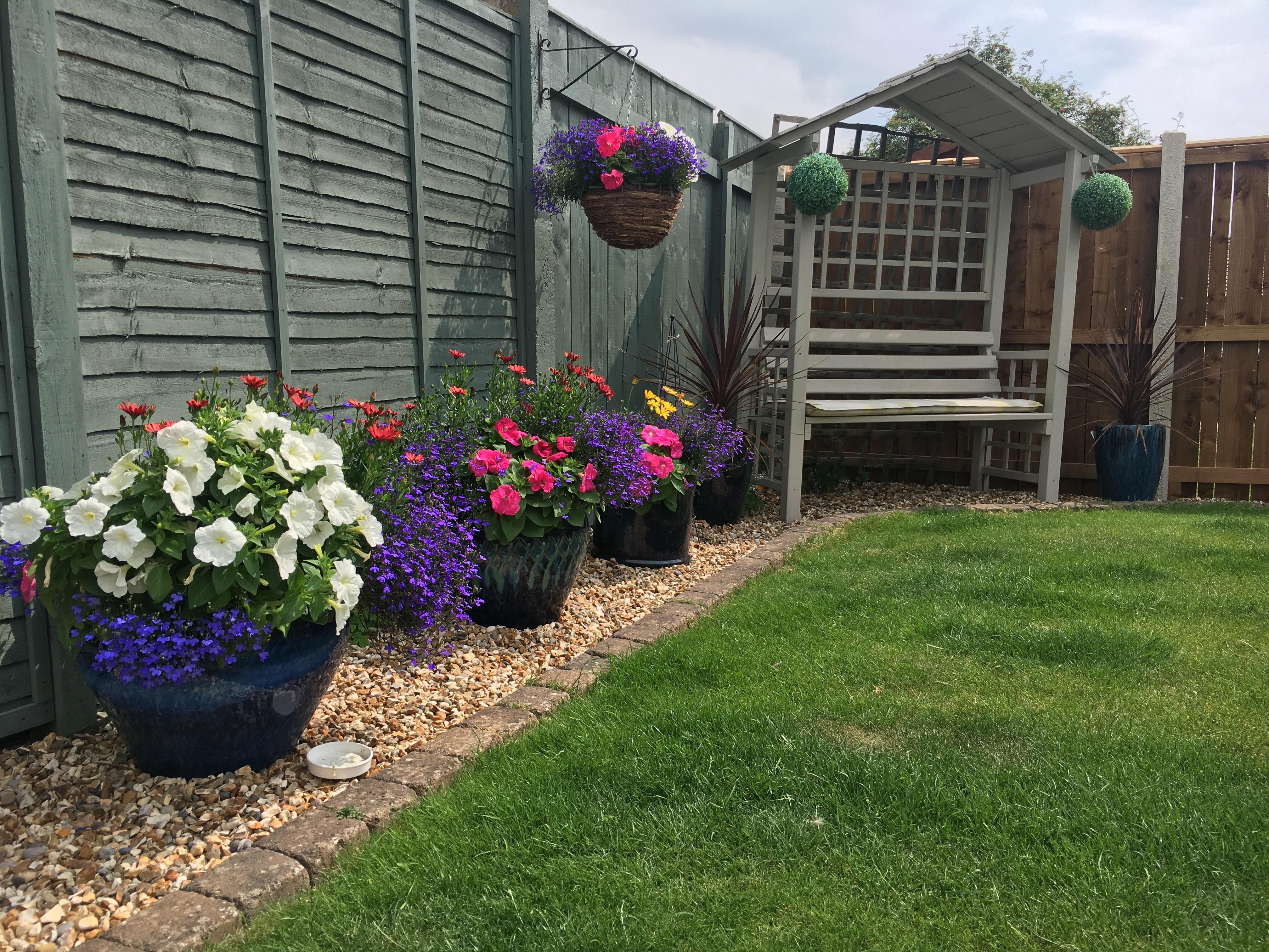 Mother is quite pleased with her pots this year and asked me to share