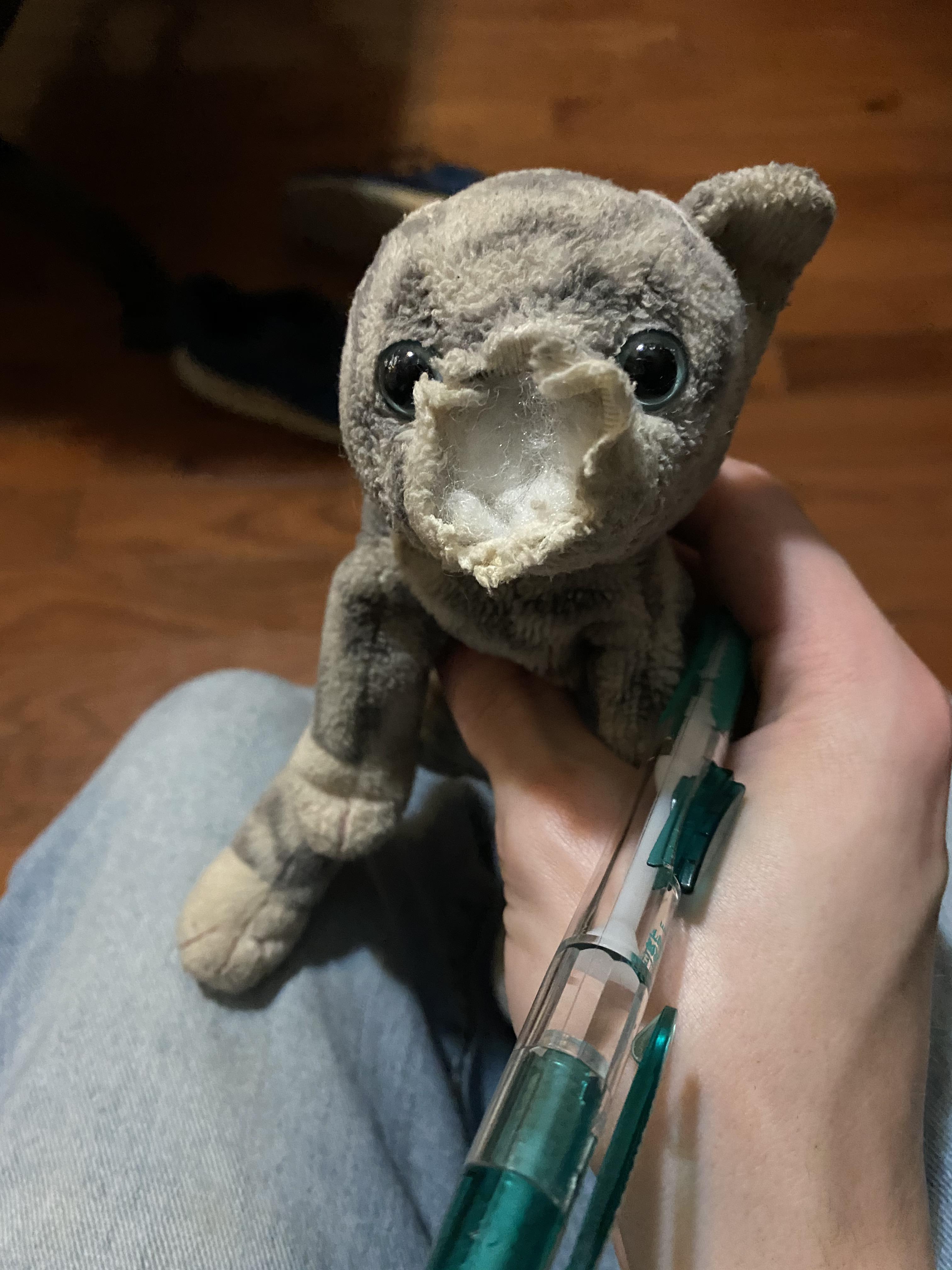 Girlfriend’s childhood cat plush got destroyed by our dog r/HelpMeFind