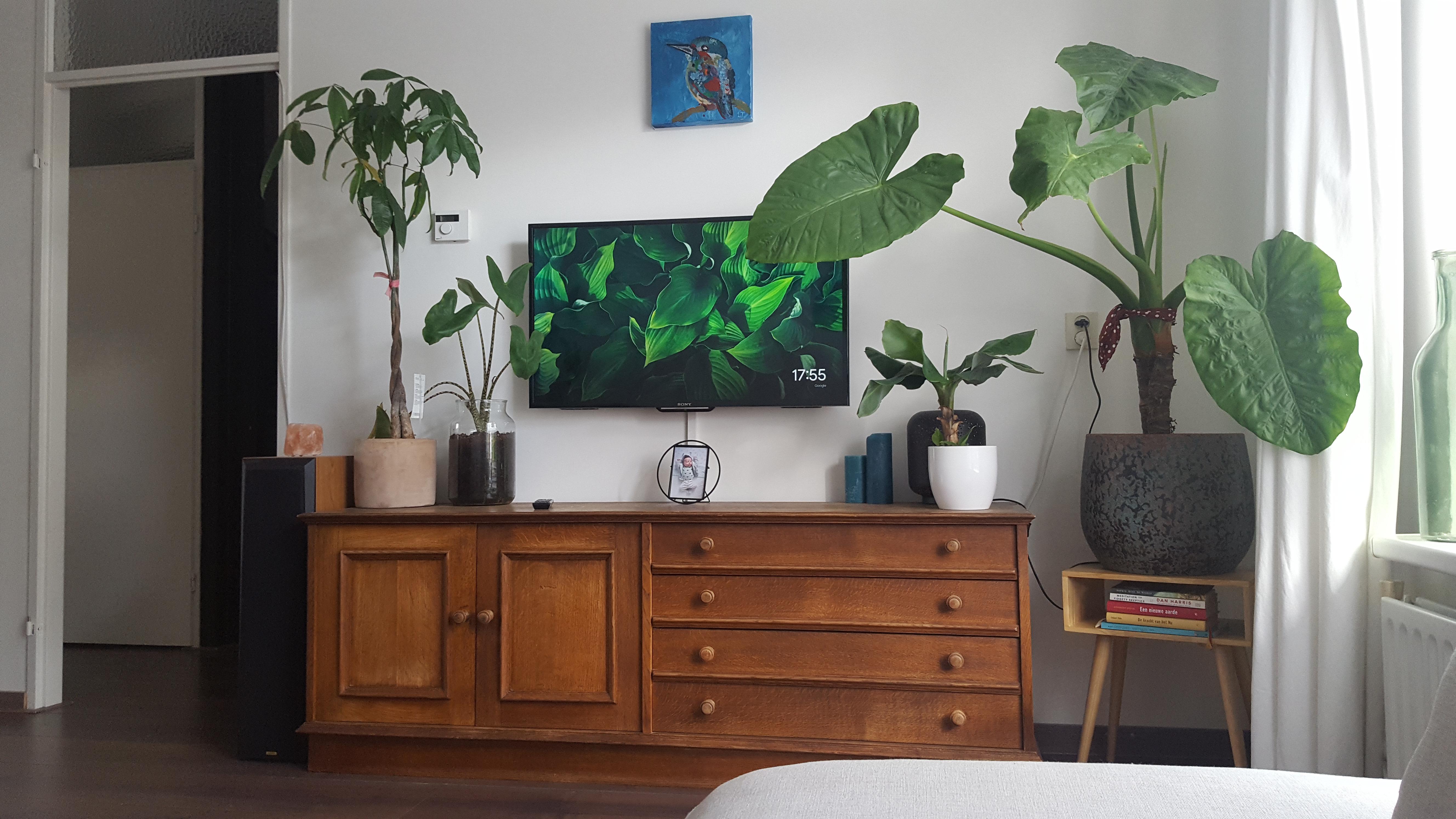 Even the tv shows plants r/houseplants