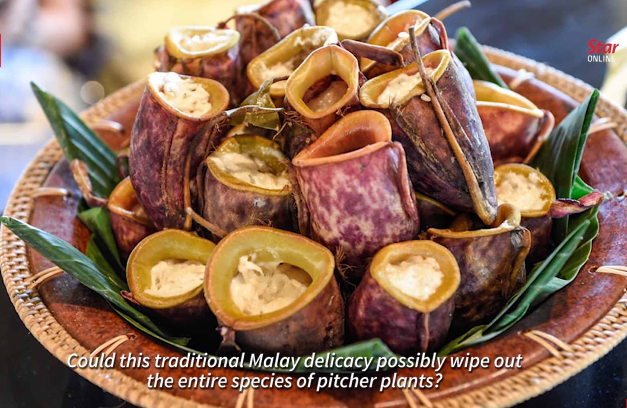 since when lemang periuk kera is a traditional delicacy