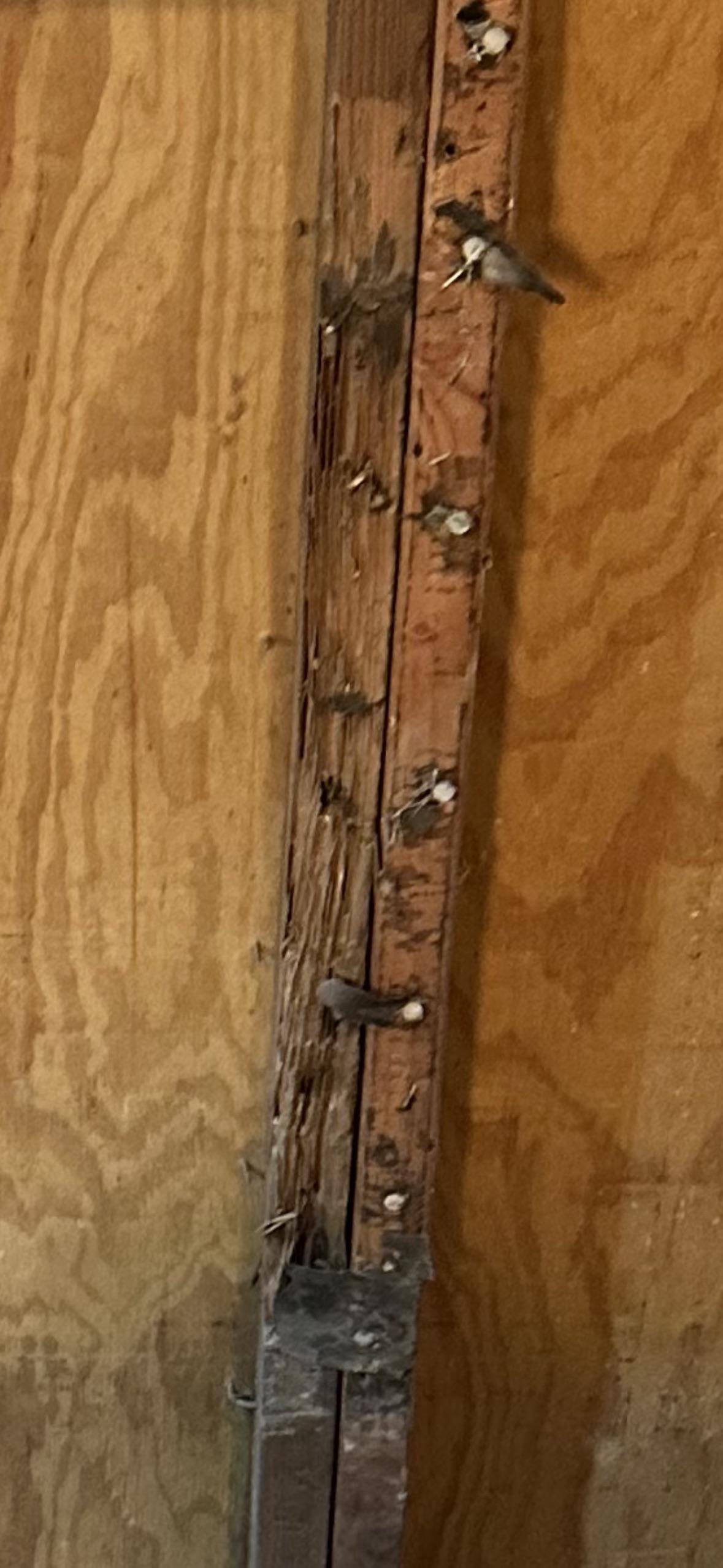 what causes wood to splinter up like this? the wood is dry and only the