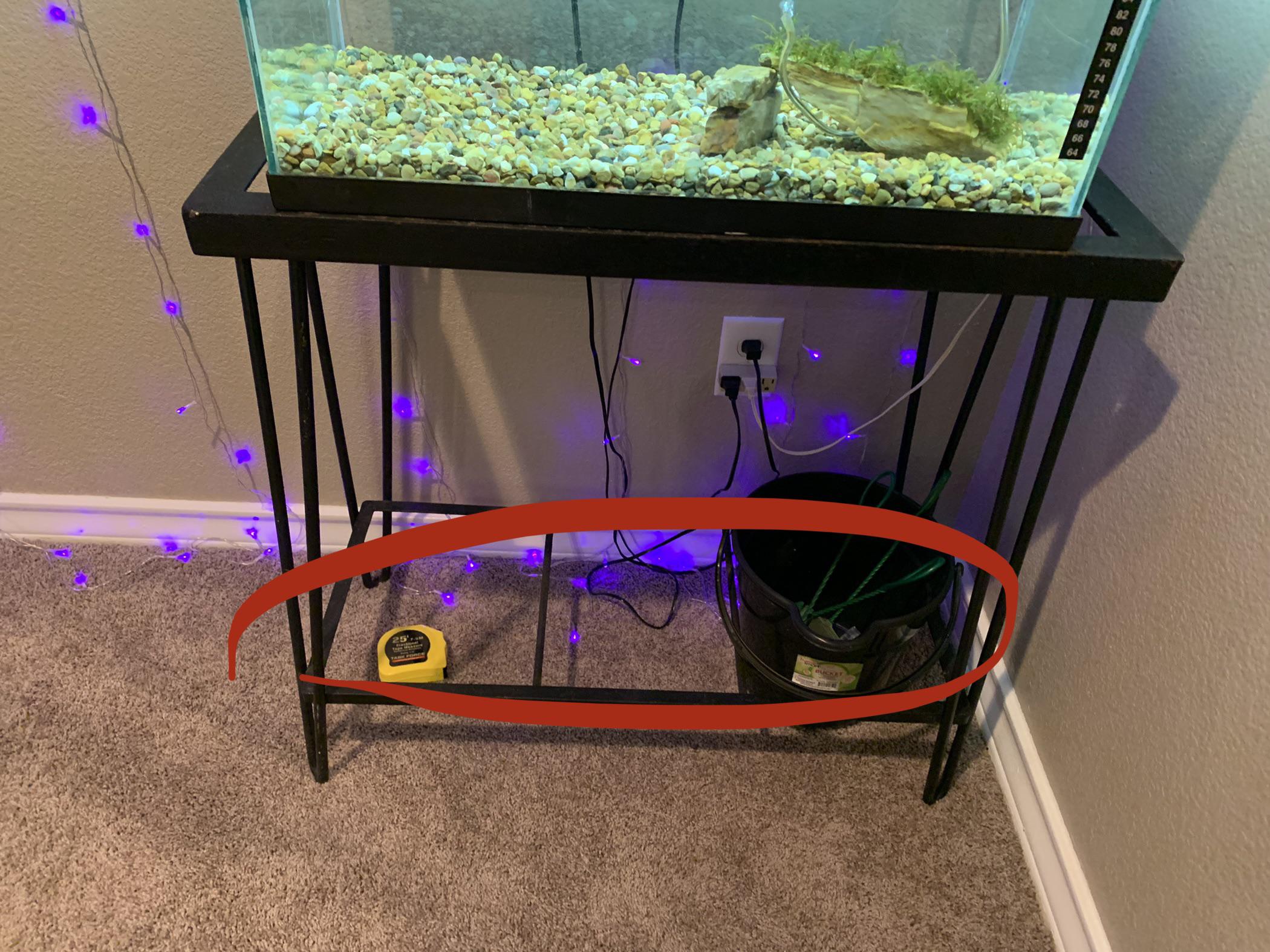 Can I put a fish tank here? r/Aquariums