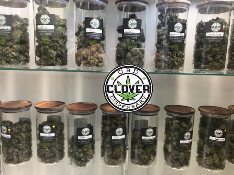 Finally getting dispensary's with quality bud in Asheville, NC! r/trees