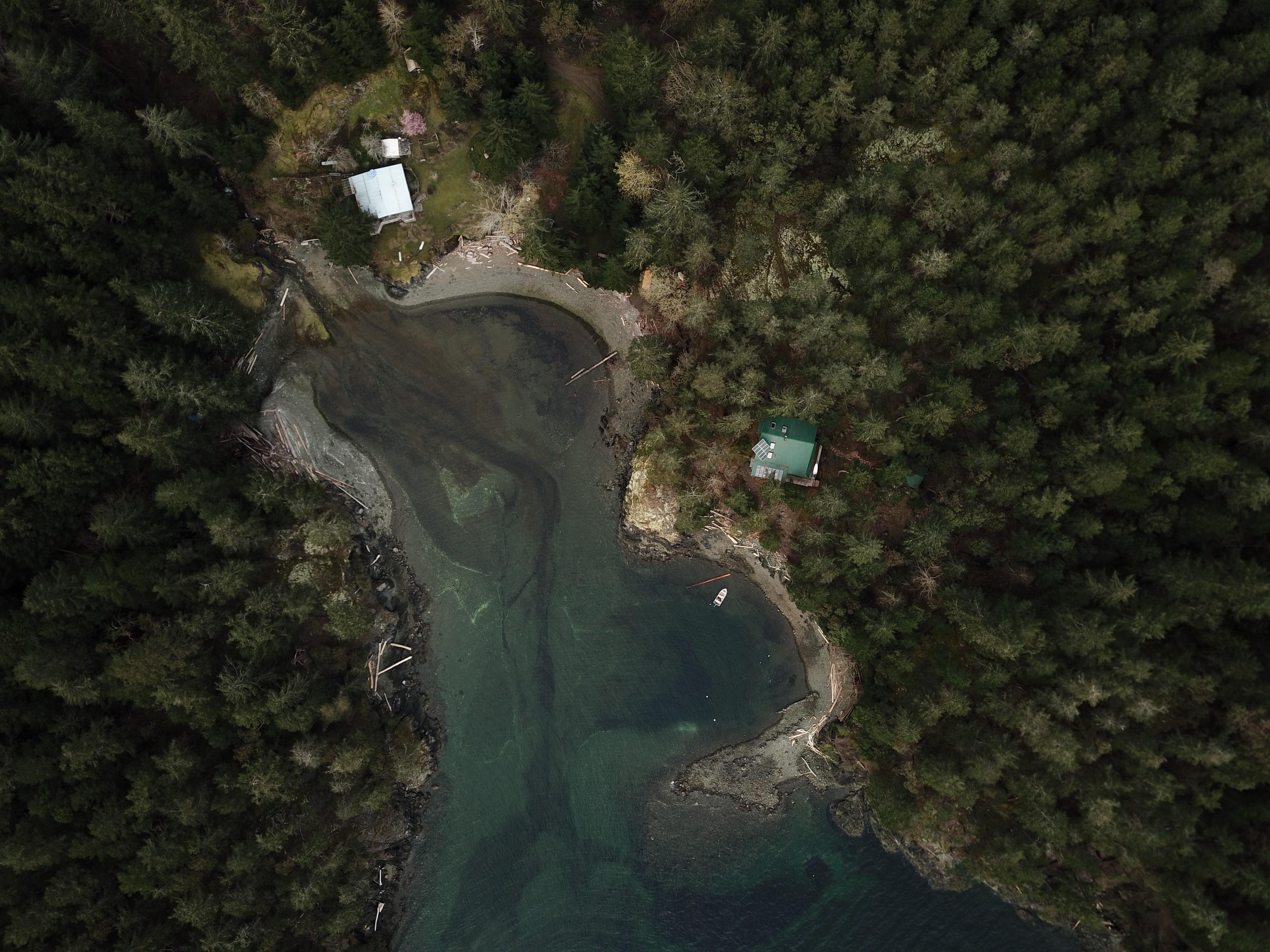 Cove on Lasqueti Island r/britishcolumbia