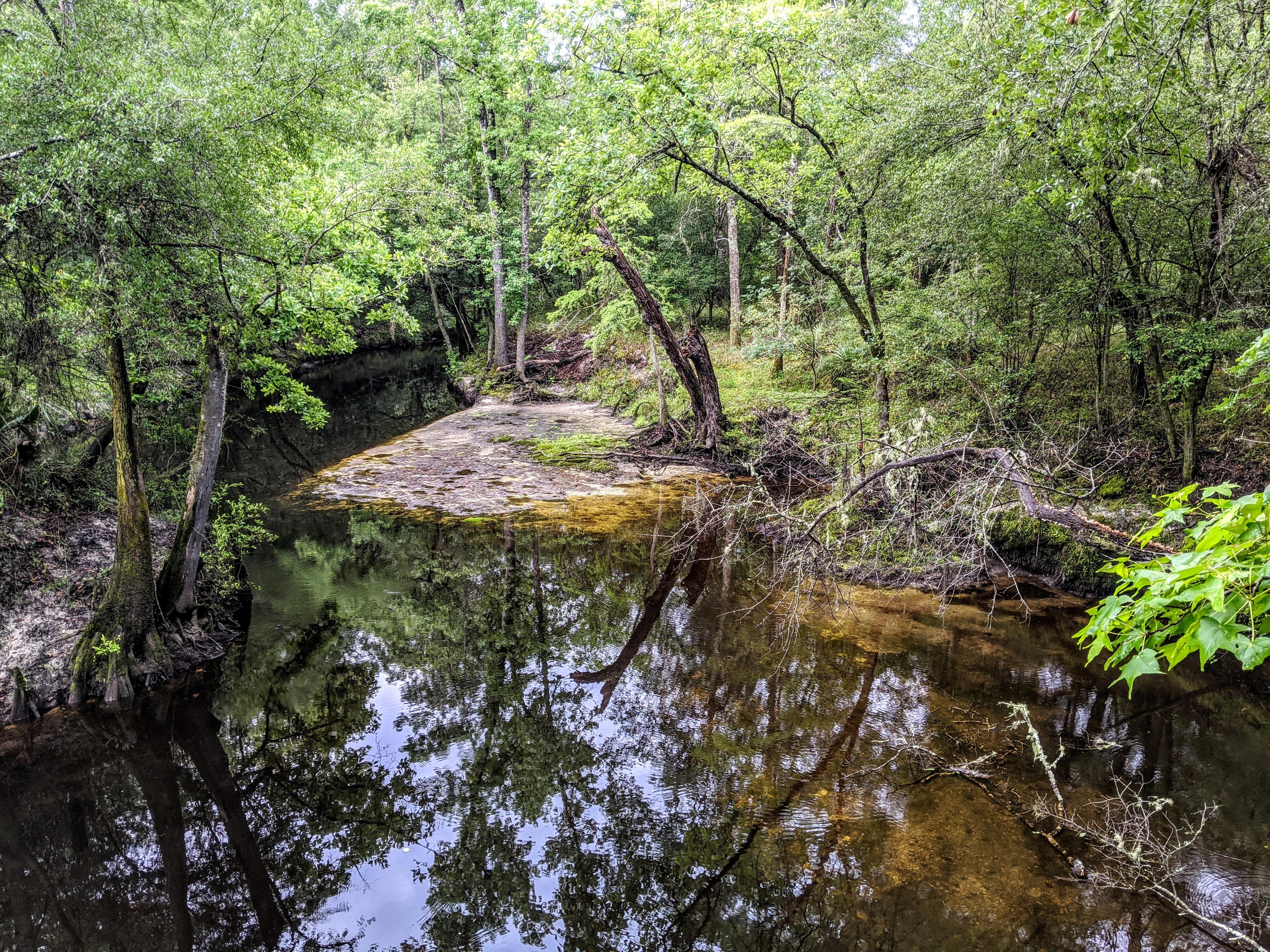 Jennings state forest. r/jacksonville