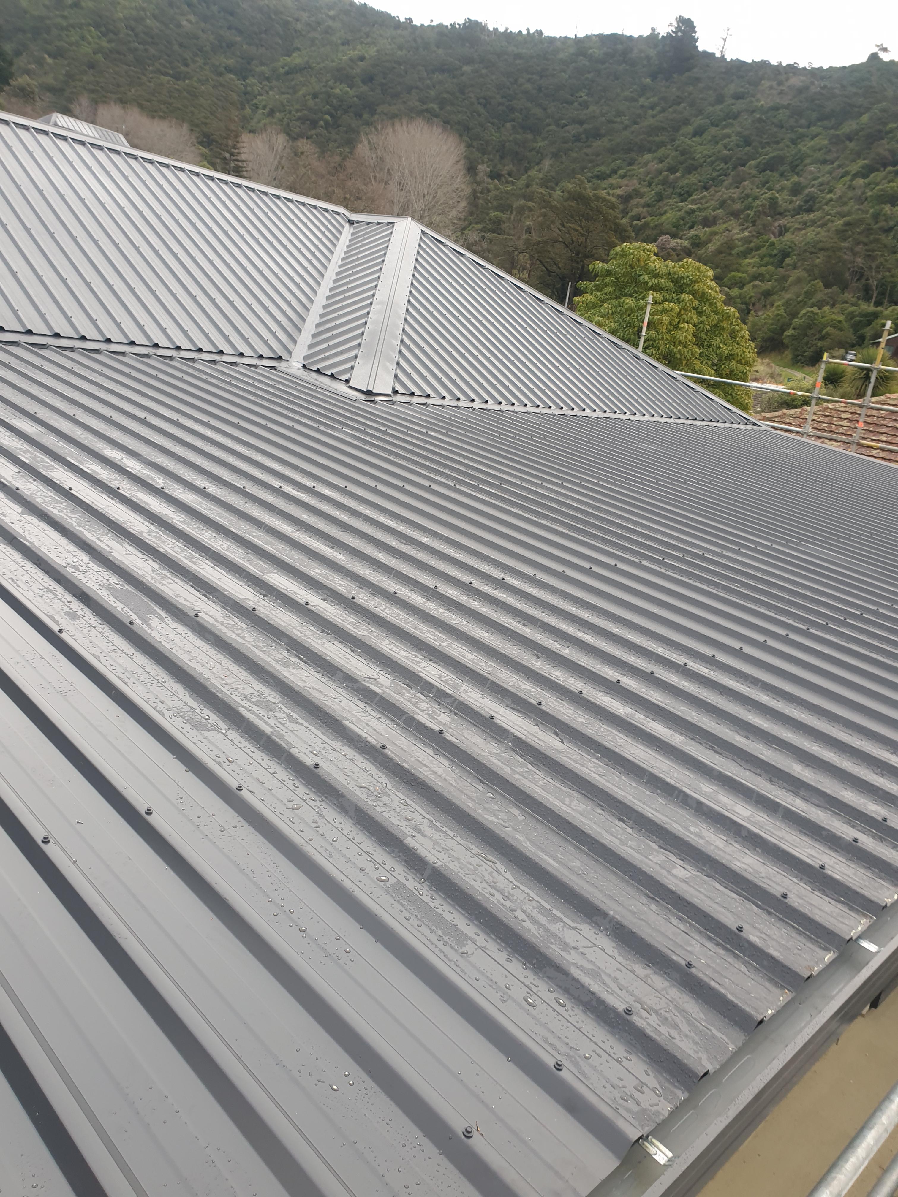 Advice needed TPO vs Modified Bitumen Roofing