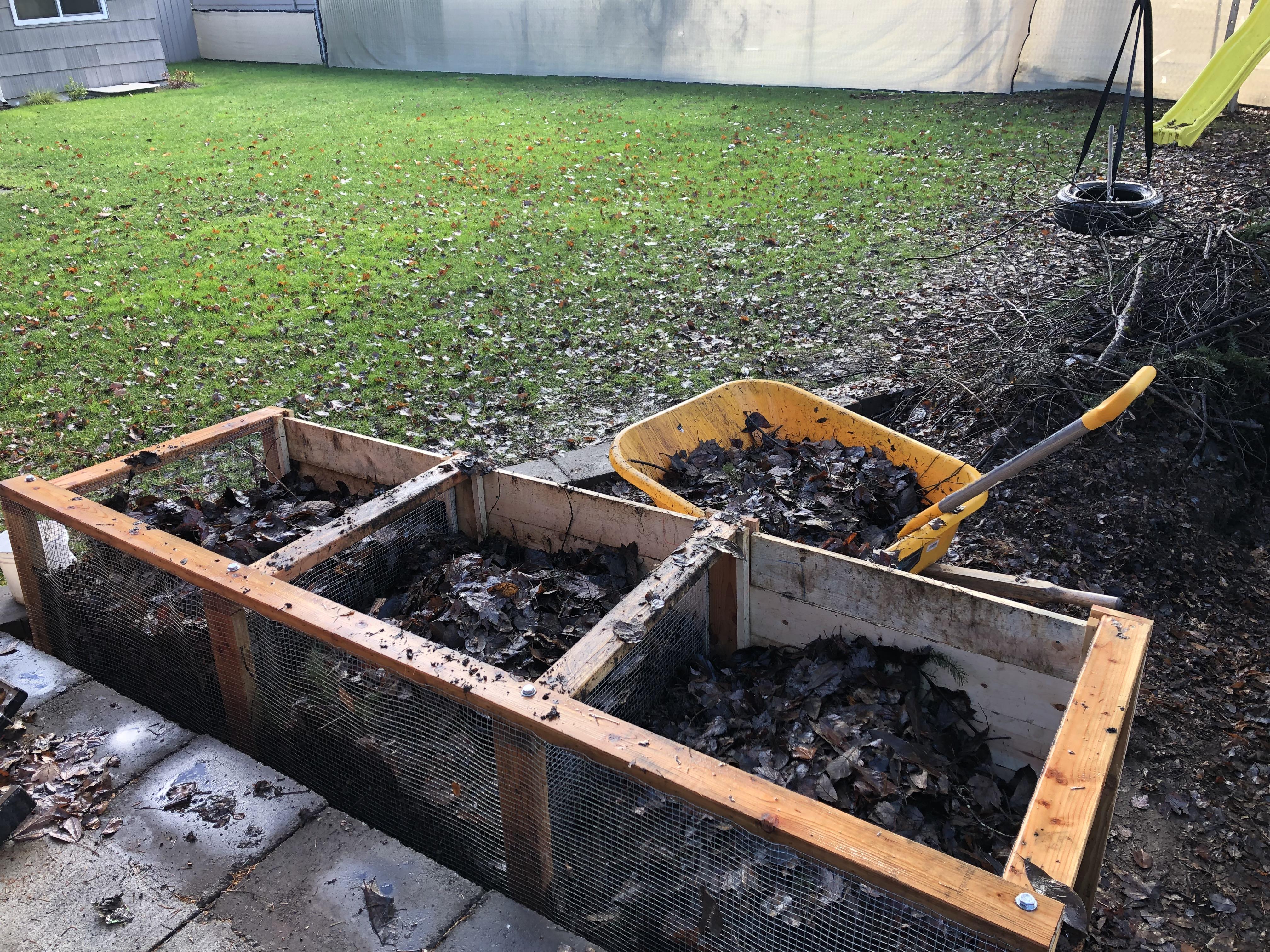 Built my bin 3 weeks ago and now my maple/ash/magnolia leaves are on