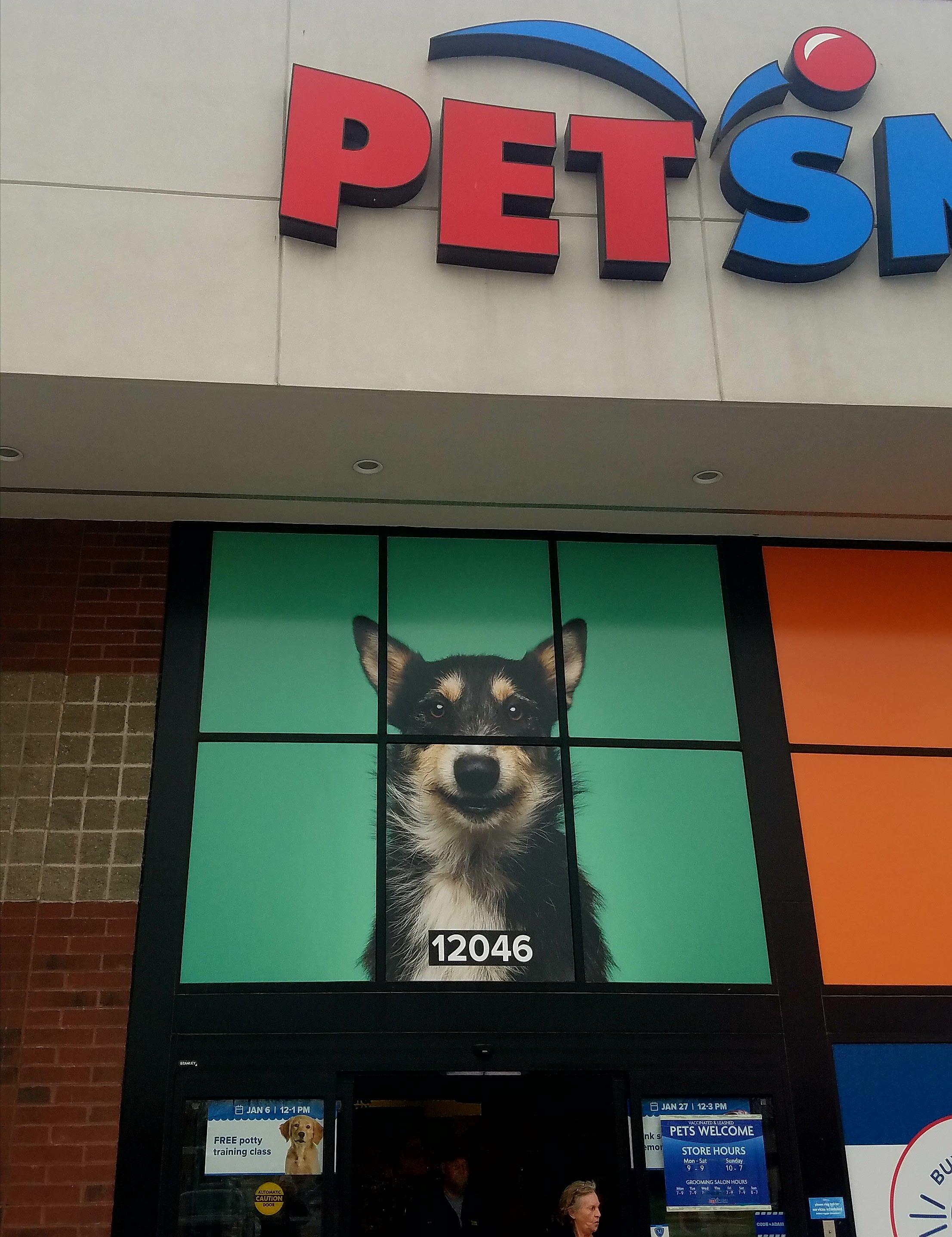 PetSmart address makes sign look like a puppymugshot r/pics