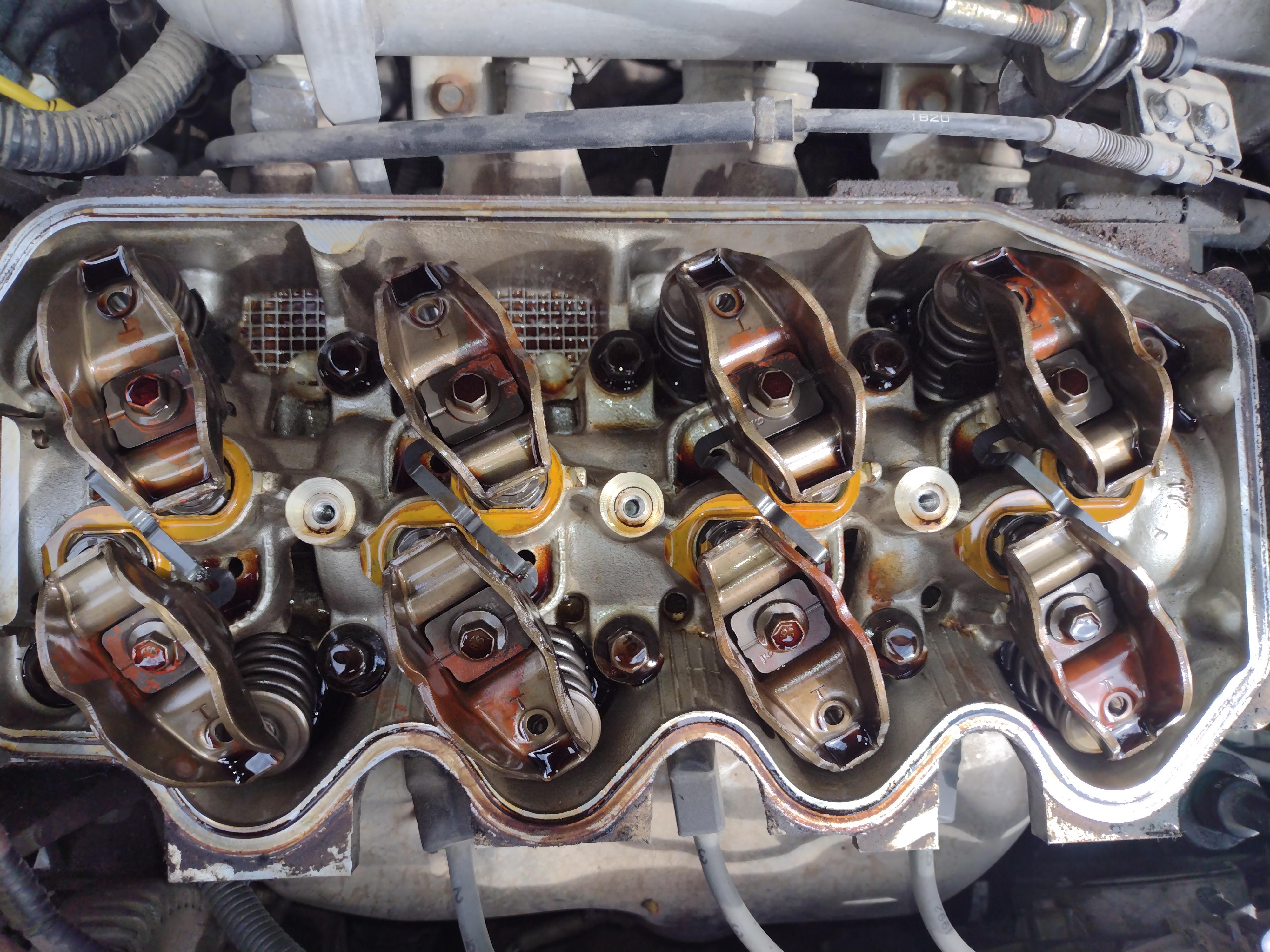 Pulled my valve cover for the first time to see how well my car was