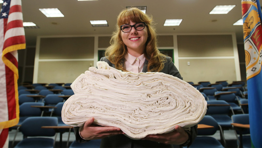 PsBattle Amateur mathematician Britney Gallivan and her folded toilet