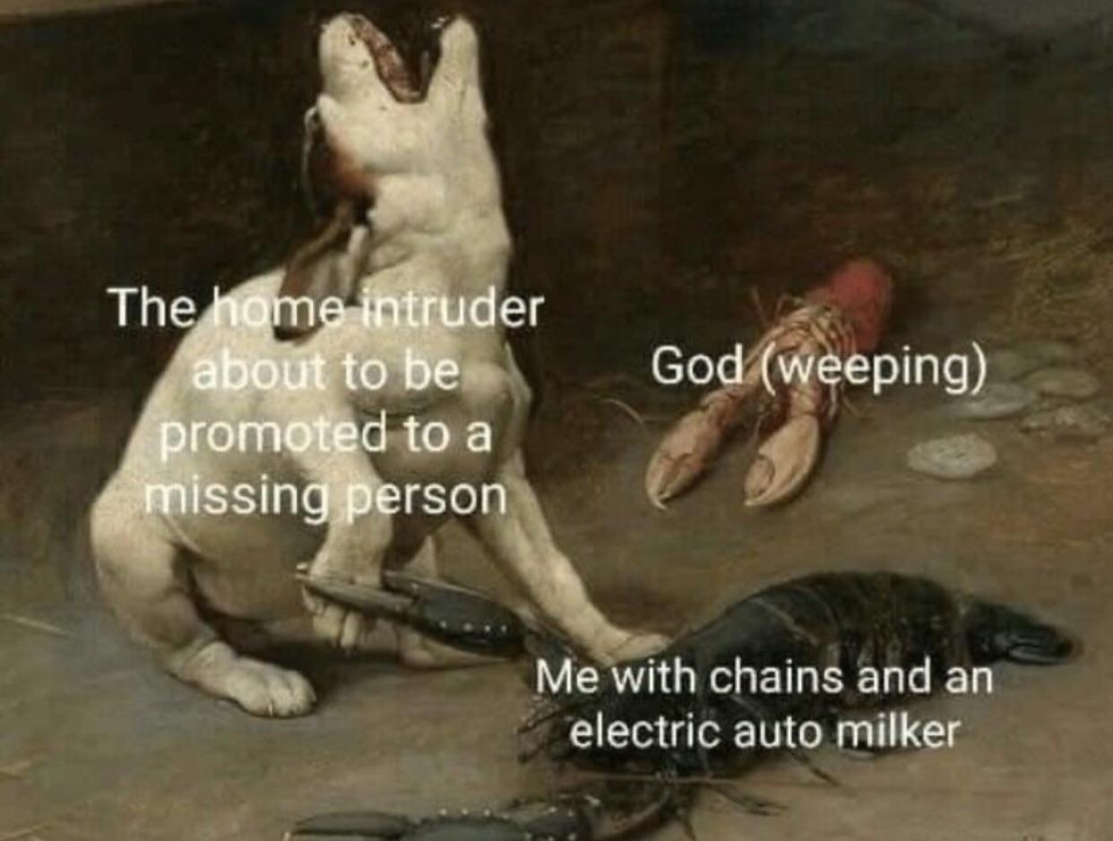 9665 best Lobsters images on Pholder Speed Of Lobsters, Food Porn and