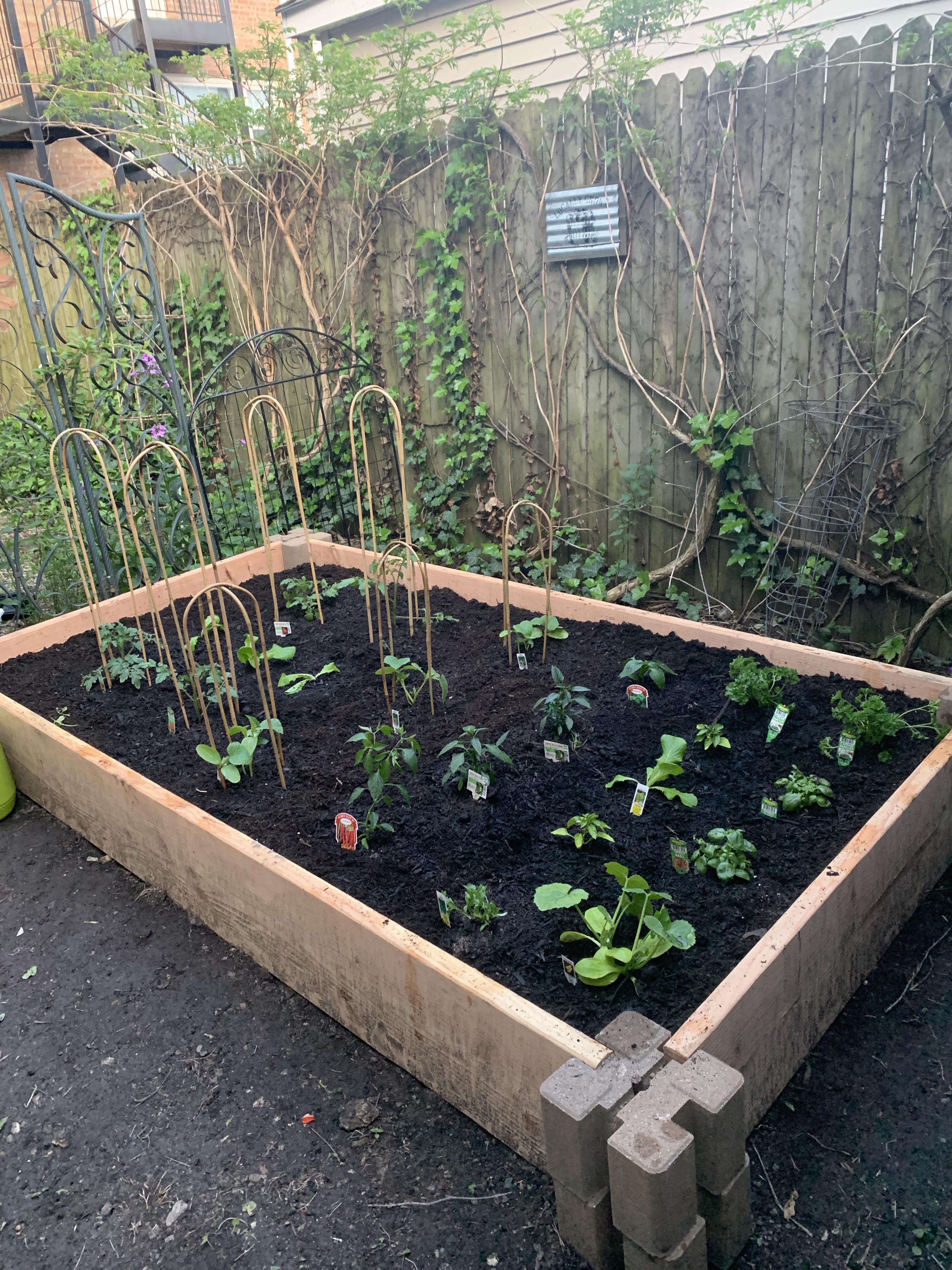 My first time planting on a raised garden bed. I’m excited to see the