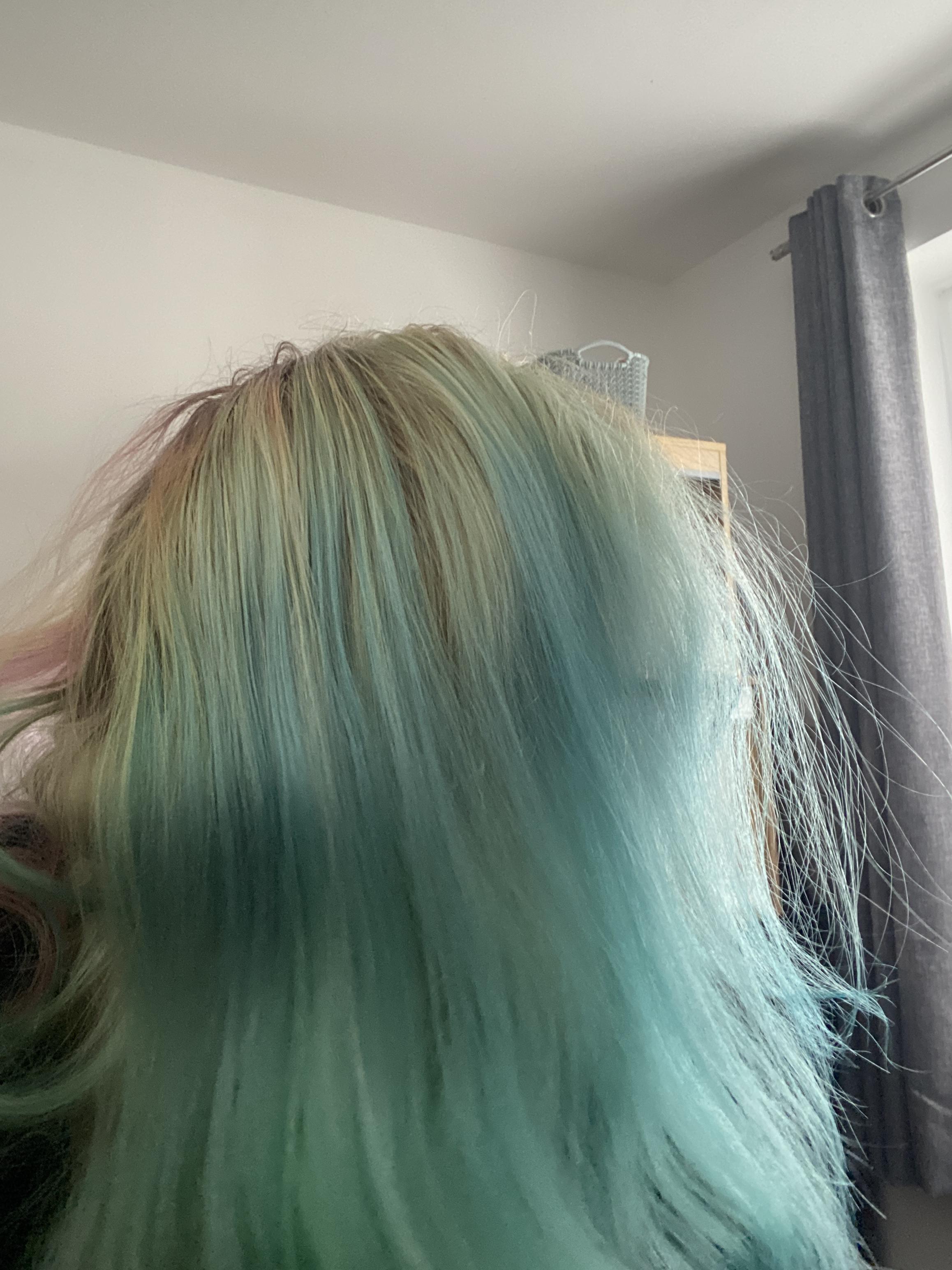 Excuse how vile my hair is atm but I’m wanting to dye my hair using