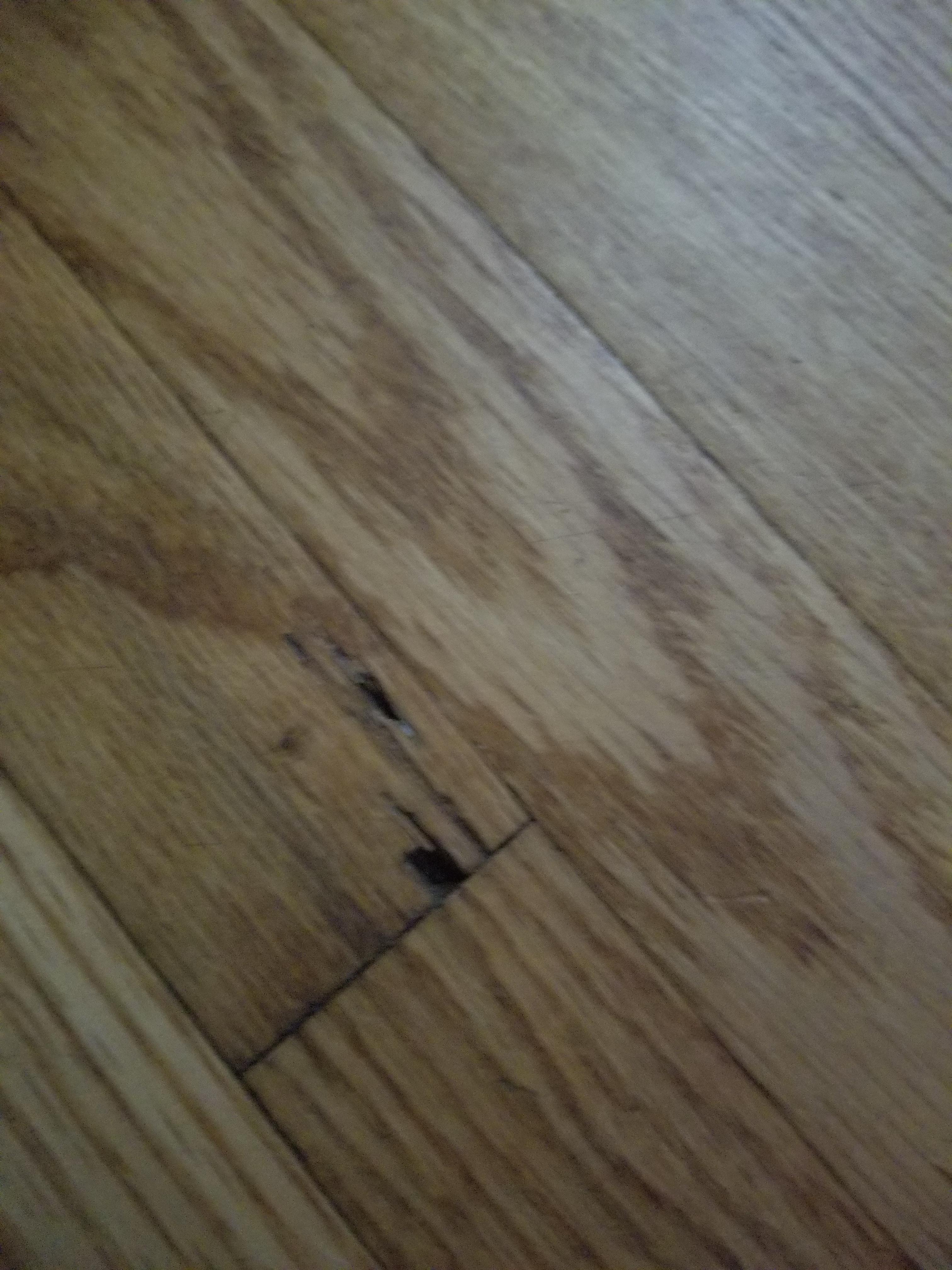 Wood floor rot? What causes this and how can I stop this from turning