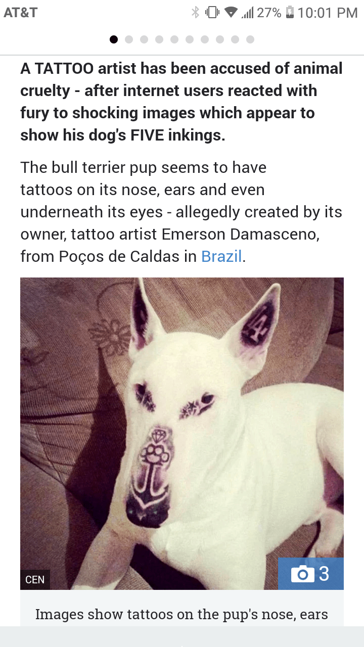 Tattoo artist acused of animal cruelty for tattooing his dog 5 times