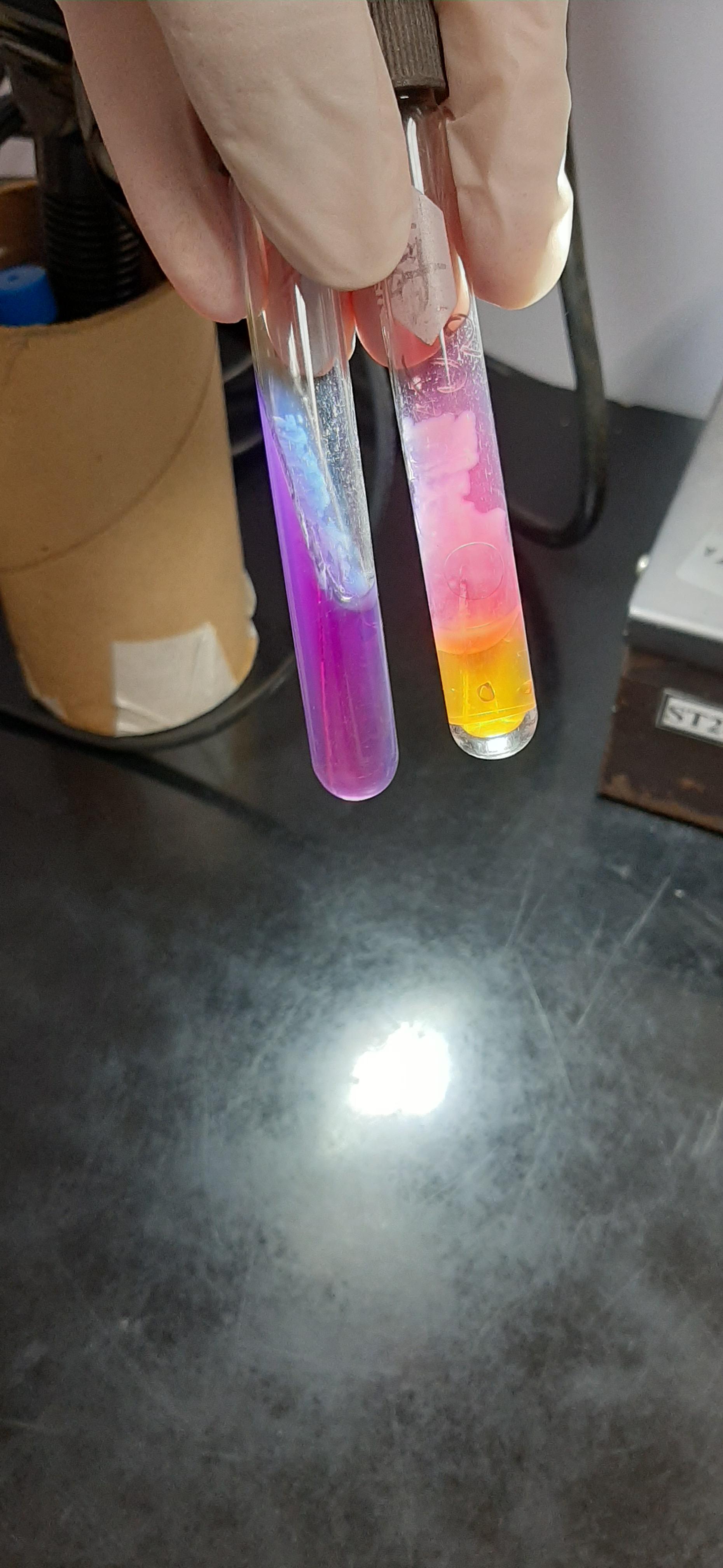 Possible Salmonella sp. in a sample of ReadytoEat Beef Jerky. TSI