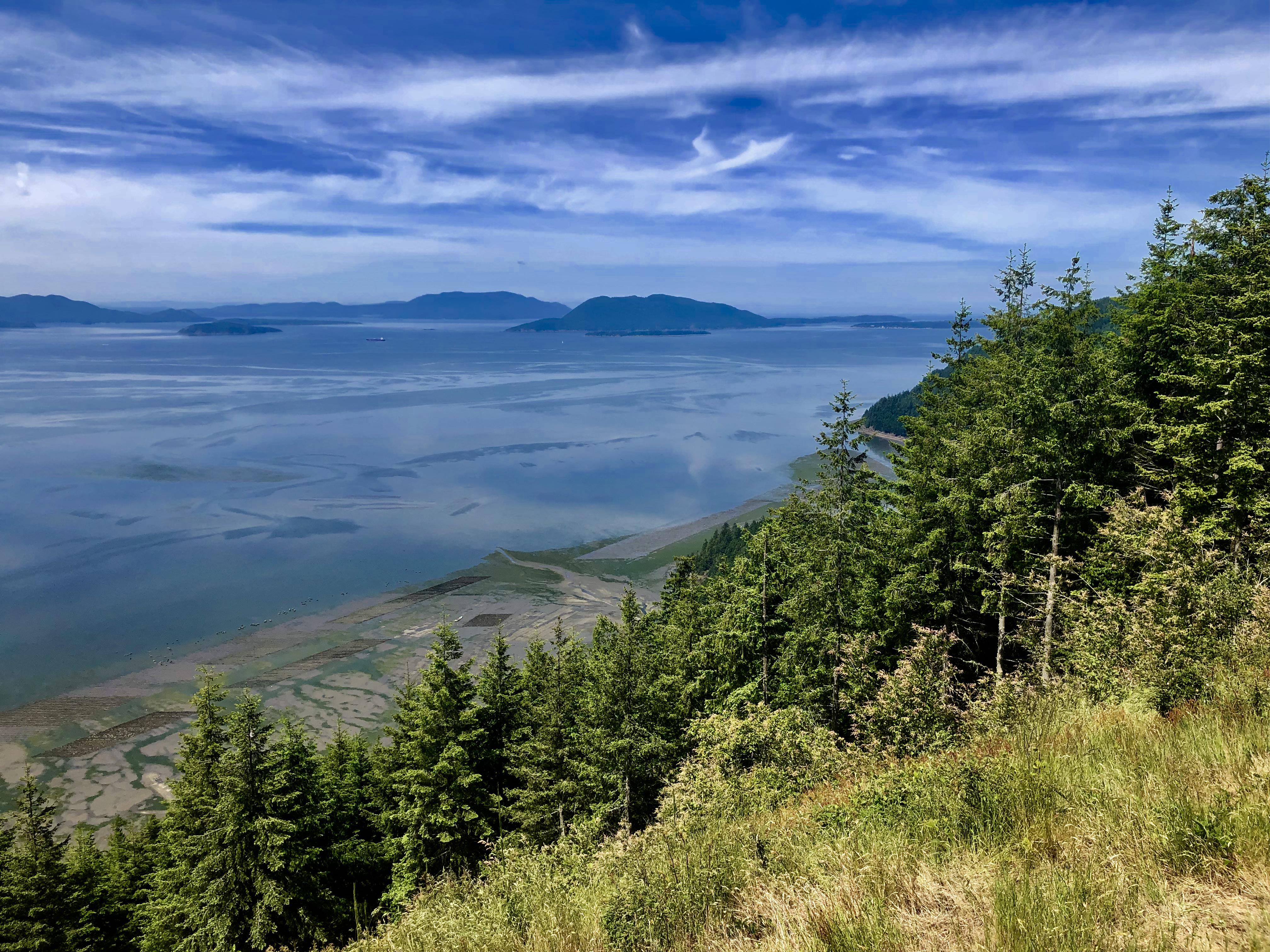 Road trip stop at Samish Overlook at Oyster Dome in Washington. [OC