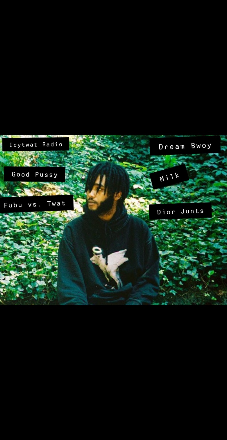 Spotify Discography Feb 2020 r/ICYTWAToverload