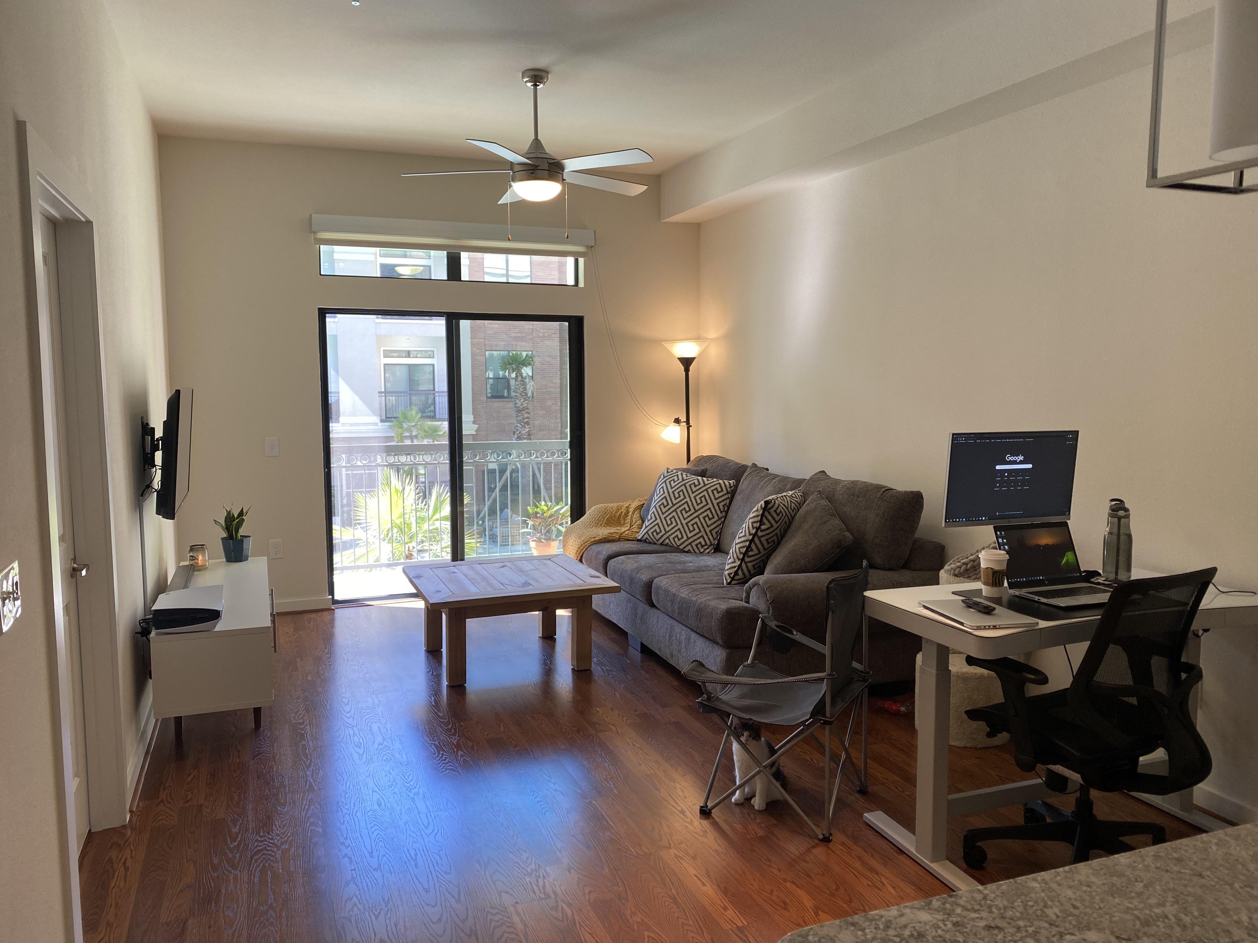 Looking for advice! What color rug should I get? r/malelivingspace